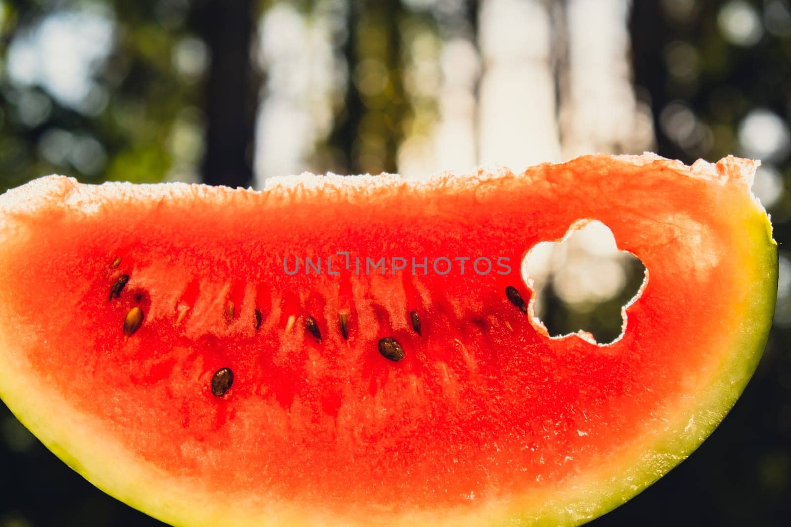 Fresh juicy red watermelon slice flower shaped in hands on background of outdoor garden in summertime during sunset. Concept of summer holidays and vacation. Slow-living simple pleasures