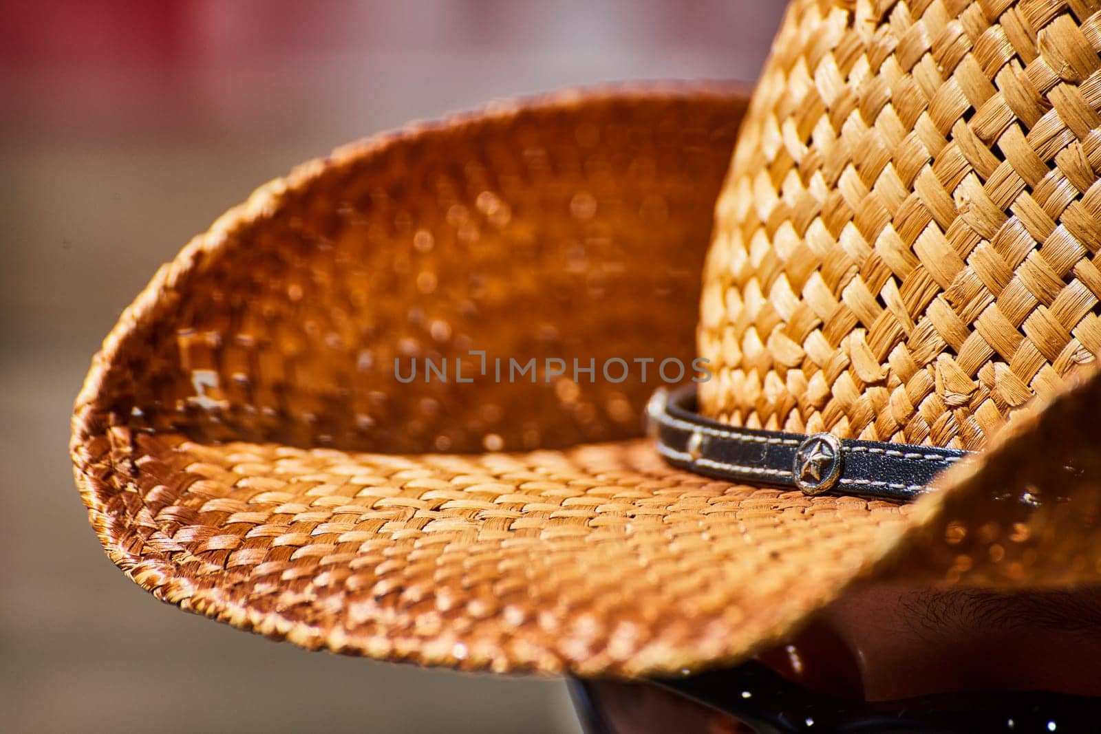 Elegant straw hat with a leather band, suggesting a rustic yet sophisticated style, set in a vibrant outdoor setting.