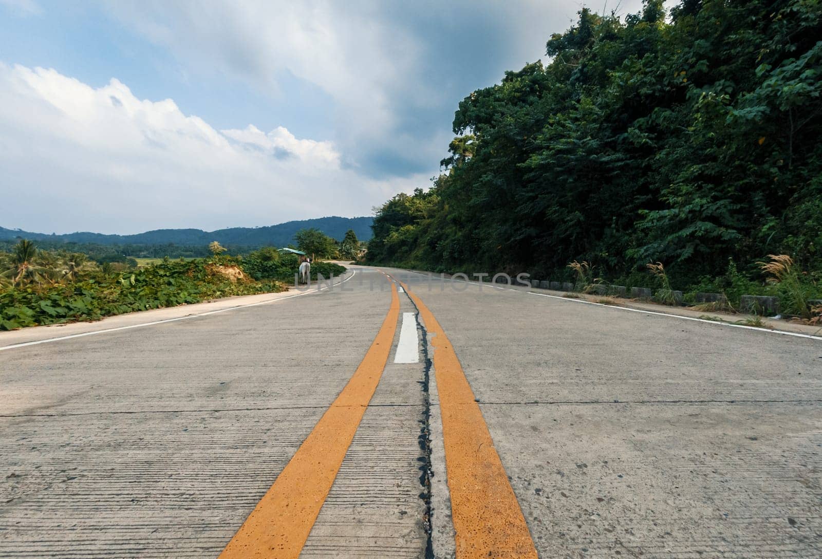 Country road with trees against the blue sky and clouds. A serene asphalt road winds through lush green mountains by Busker