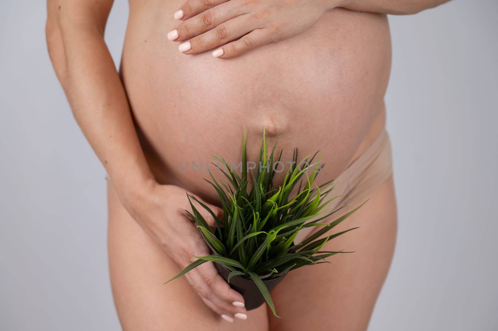 Faceless pregnant woman holding a plant. Metaphor for epilation of the bikini area