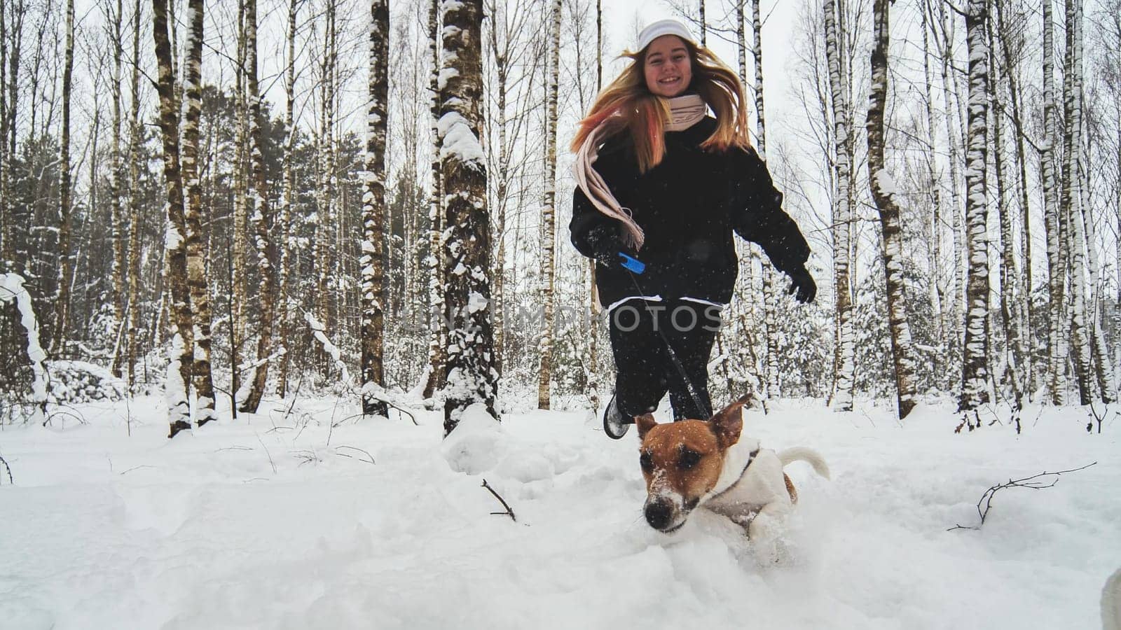 A girl and her Jack Russell Terrier dog are running through the woods. by DovidPro