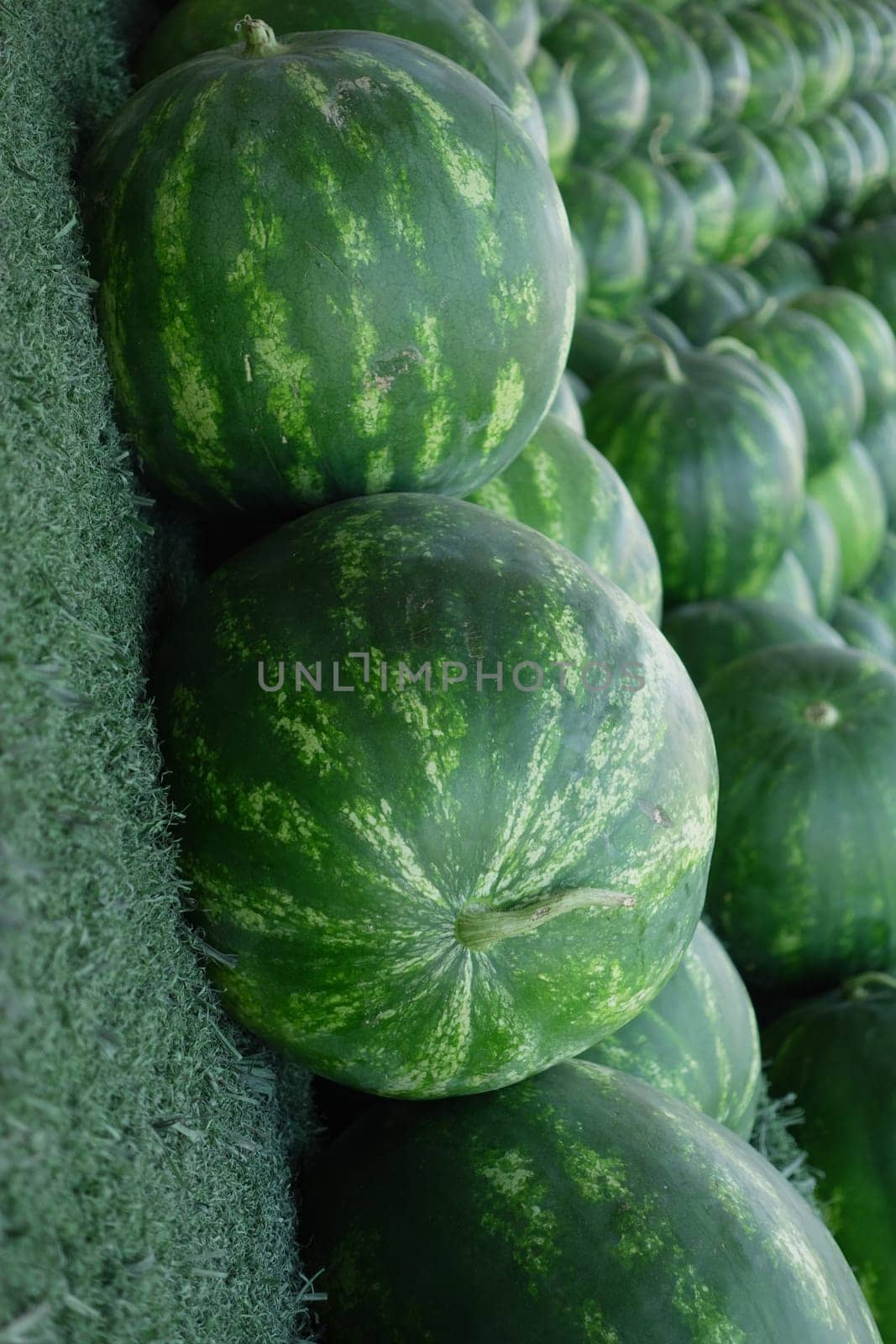 A pile of striped watermelons.