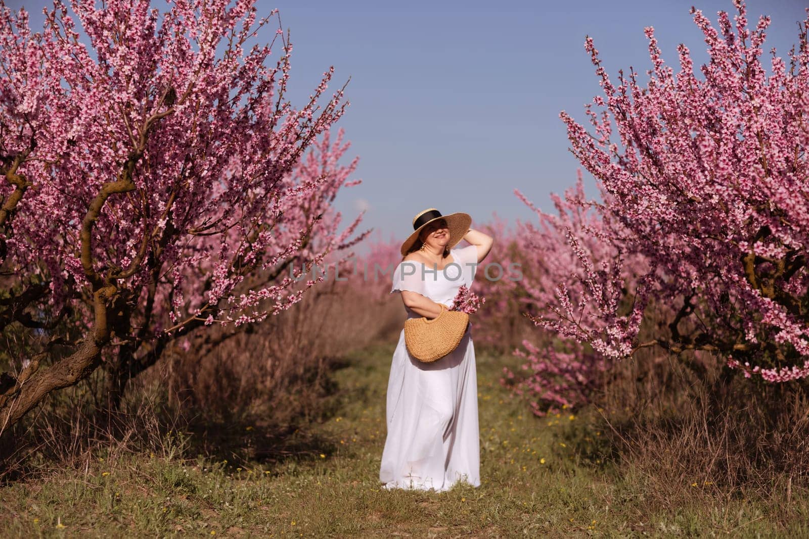 Woman blooming peach orchard. Against the backdrop of a picturesque peach orchard, a woman in a long white dress and hat enjoys a peaceful walk in the park, surrounded by the beauty of nature. by Matiunina