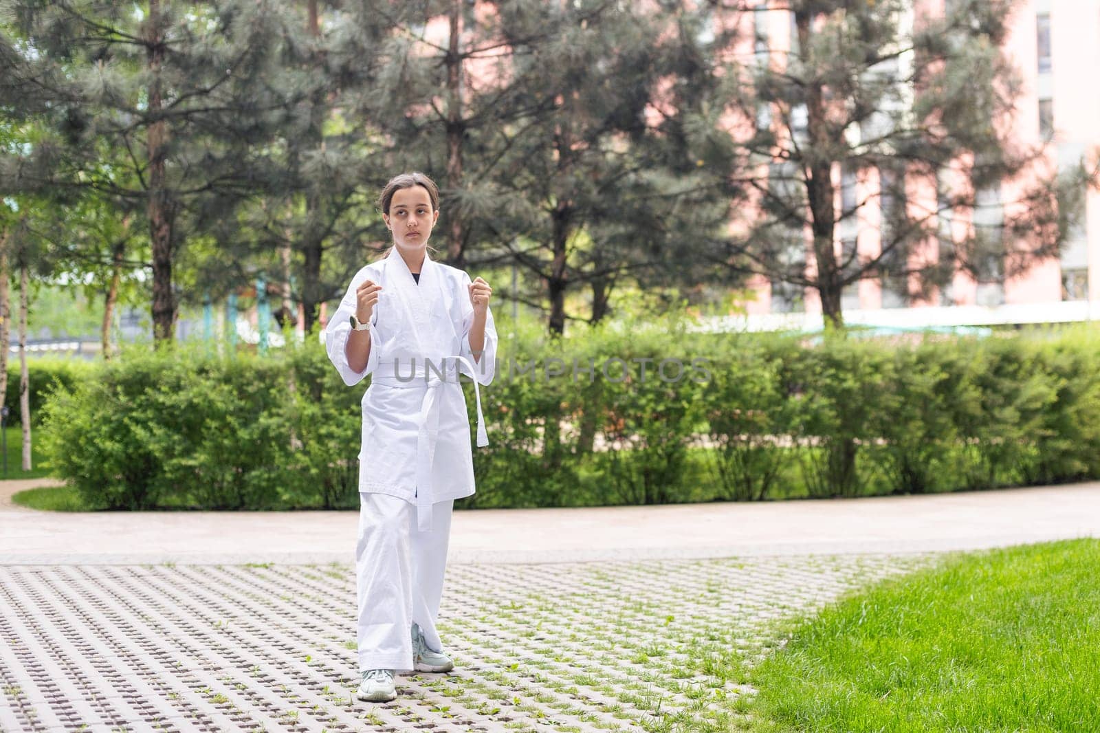 Girl in Karate Taekwondo Fighting Stance by Andelov13