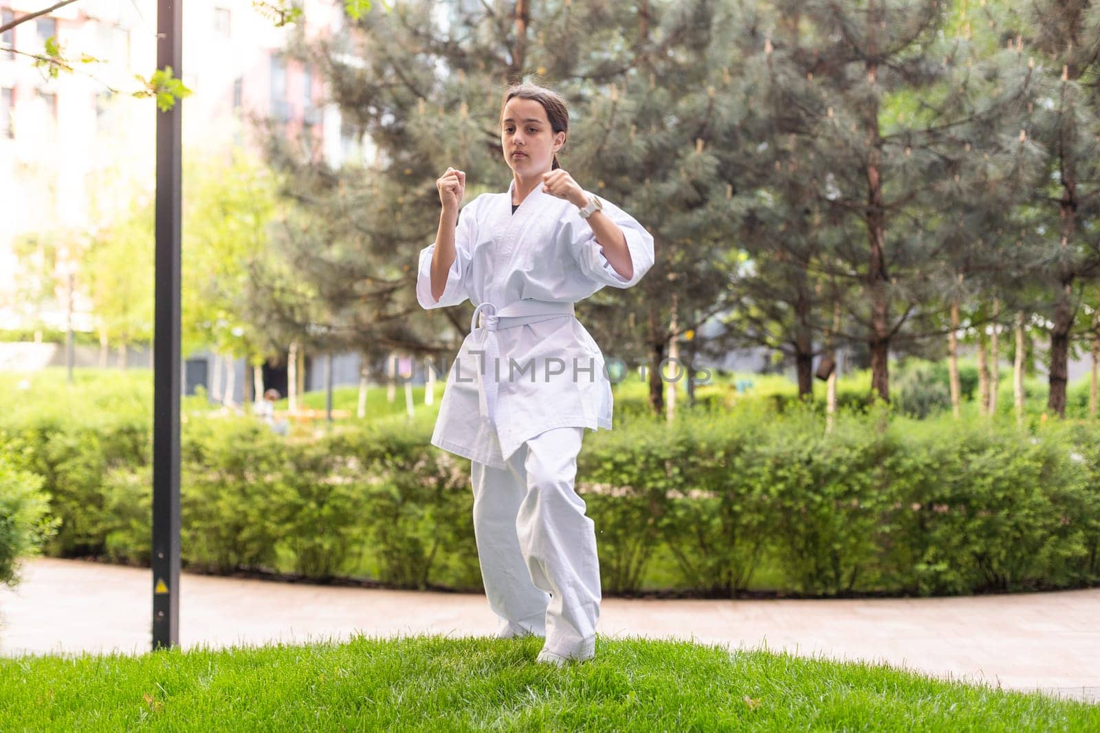 Girl in Karate Taekwondo Fighting Stance by Andelov13