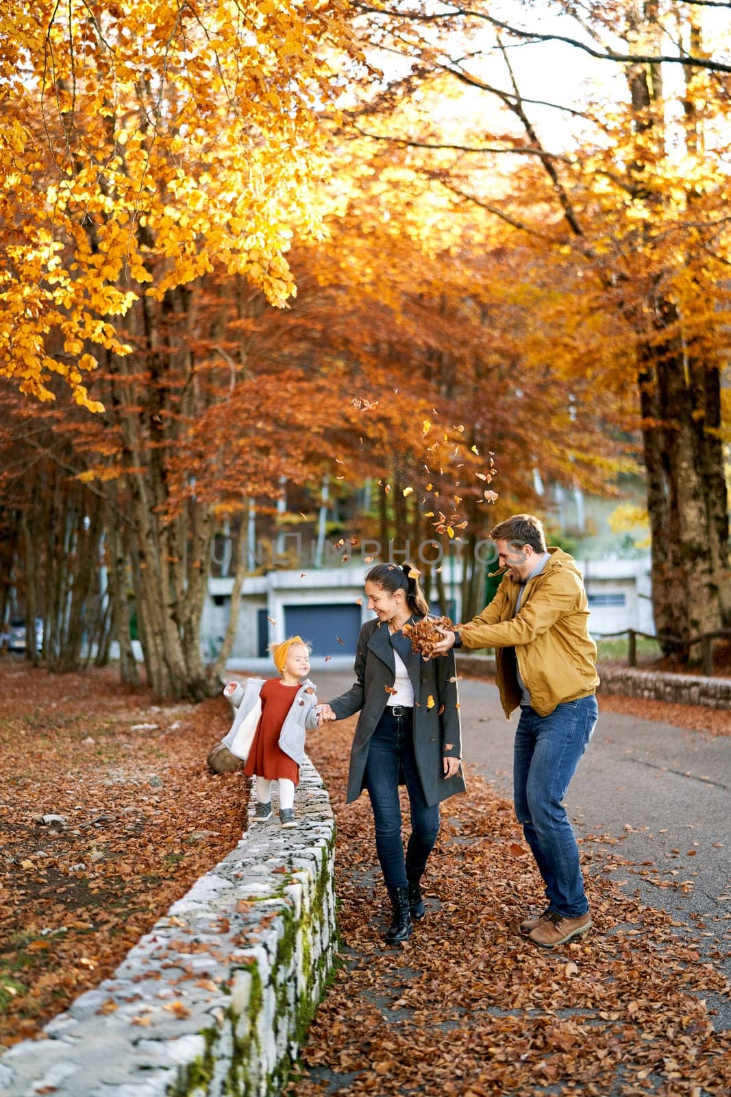 Laughing dad throws up dry leaves over mom and little girl walking through the autumn forest by Nadtochiy