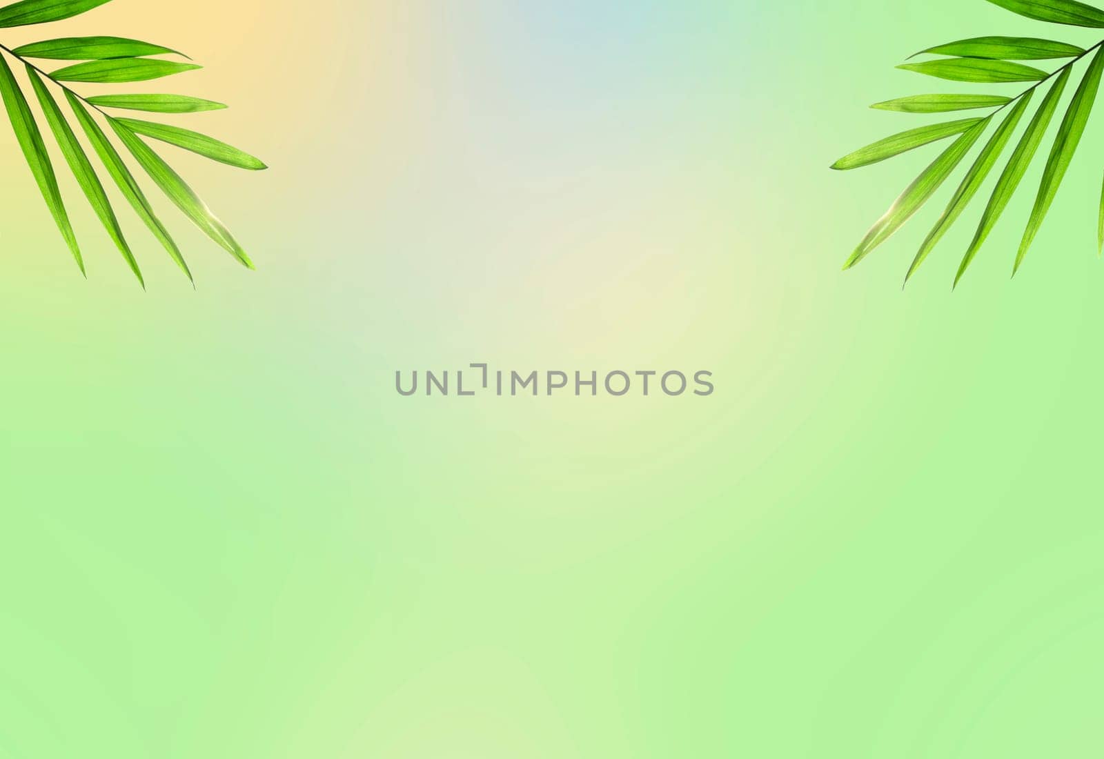 Creative layout made of colorful tropical leaves on white background. Minimal summer exotic concept with copy space.