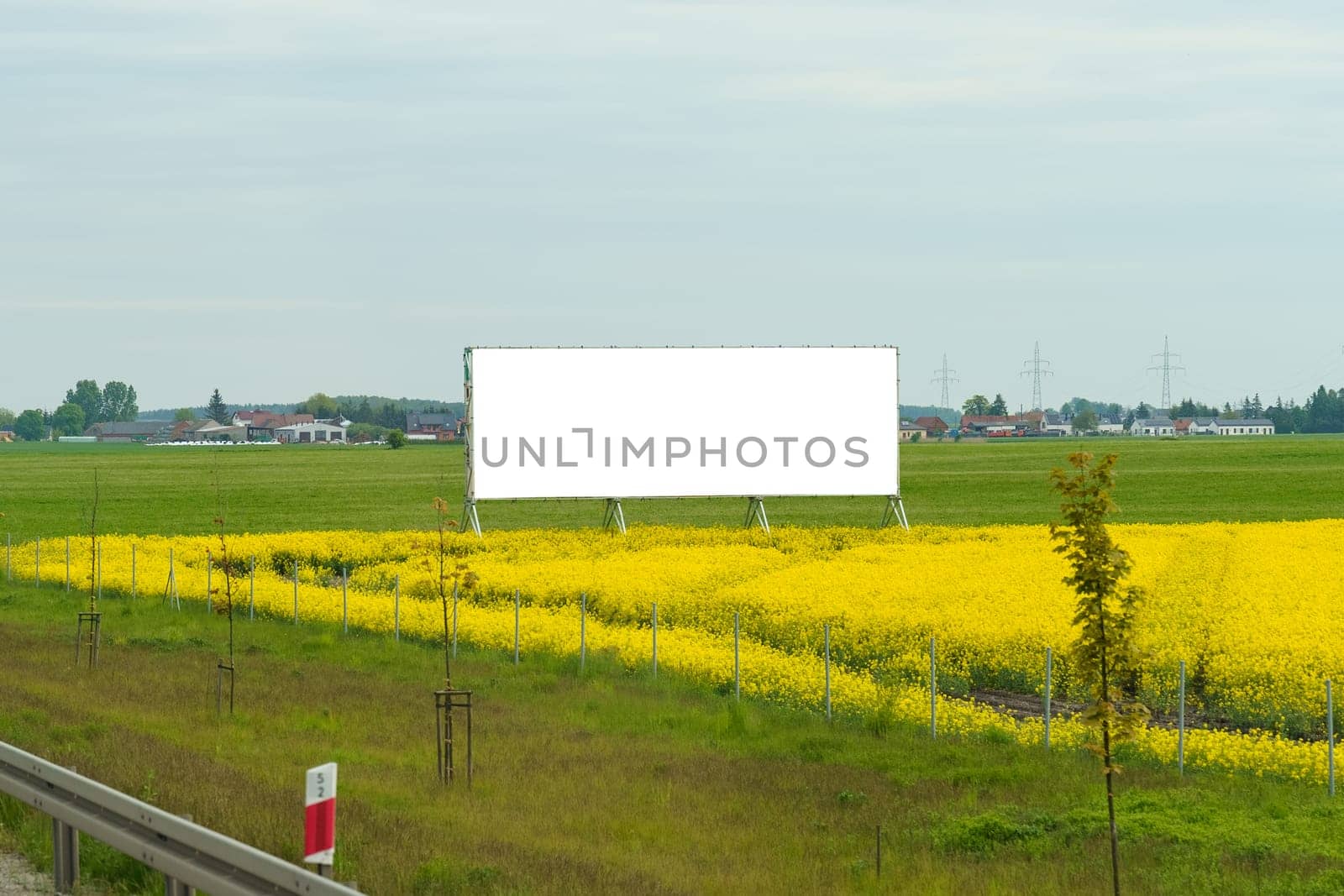 A field of yellow flowers with a billboard in the foreground under a clear sky.