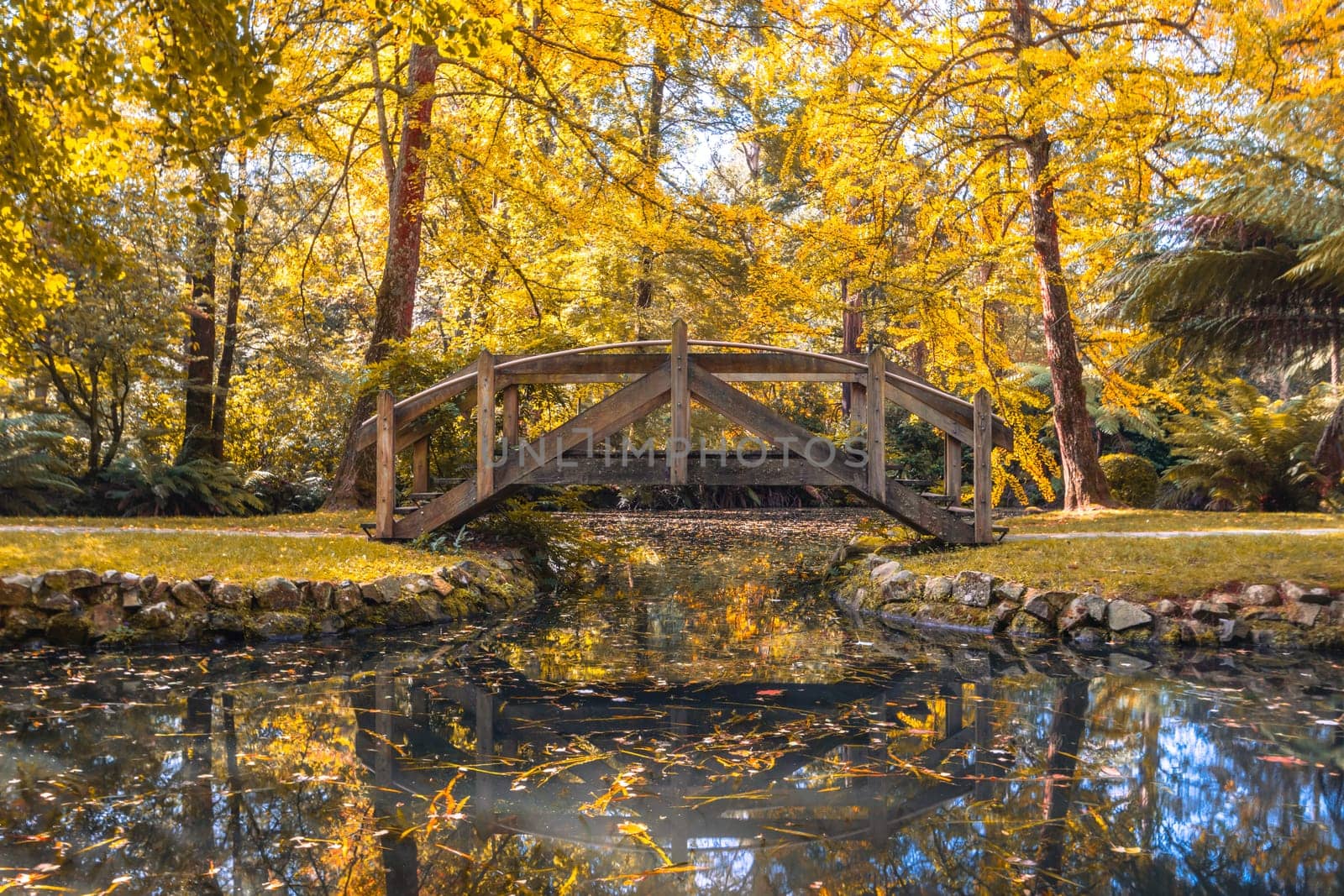 Alfred Nicholas Memorial Gardens on a warm sunny autumn day in the Dandenongs regoion of Sassafras, Victoria, Australia