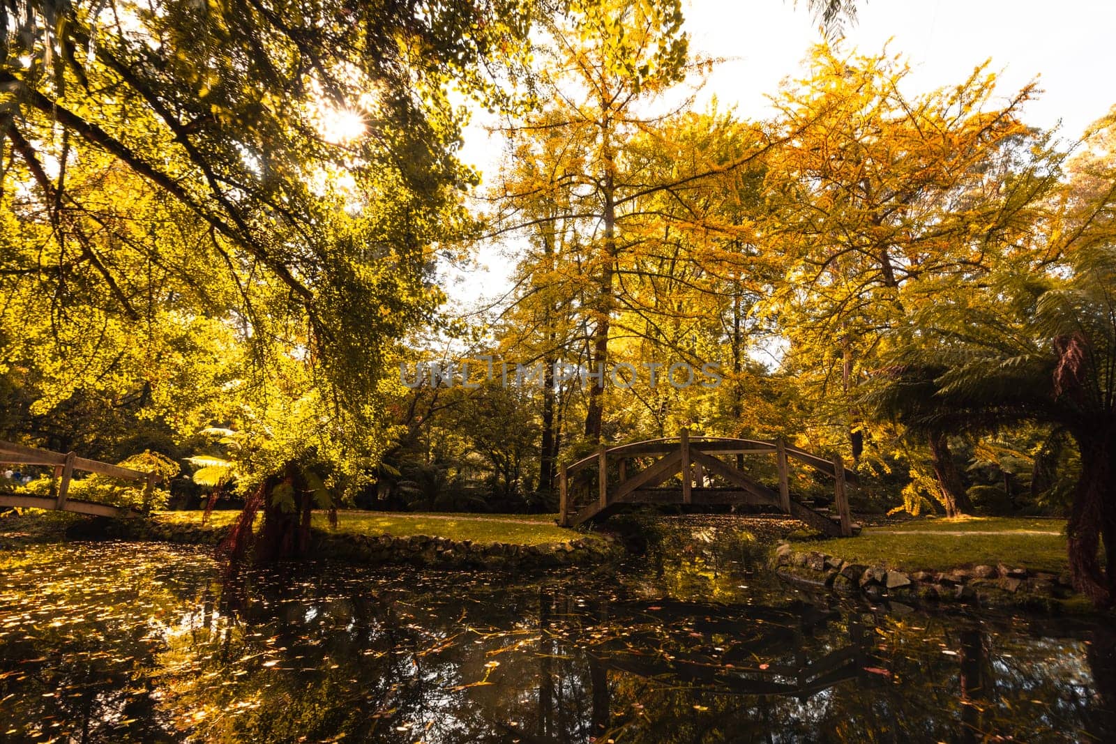 Alfred Nicholas Memorial Gardens on a warm sunny autumn day in the Dandenongs regoion of Sassafras, Victoria, Australia