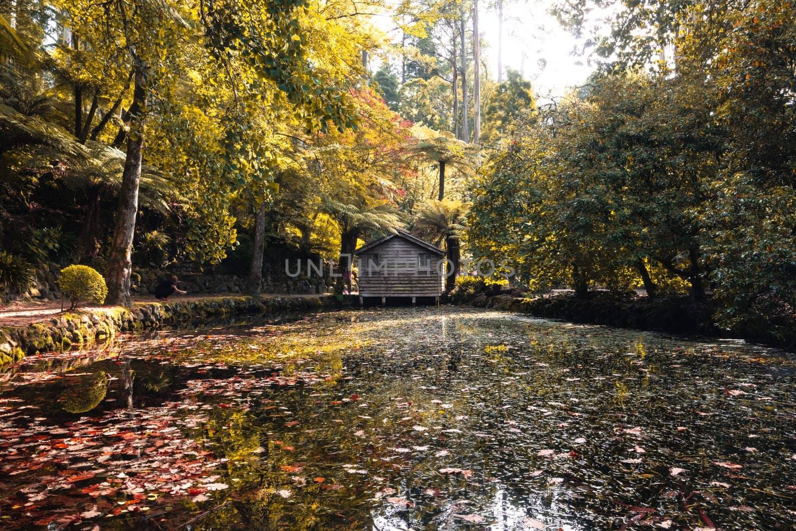 Alfred Nicholas Memorial Gardens in Australia by FiledIMAGE