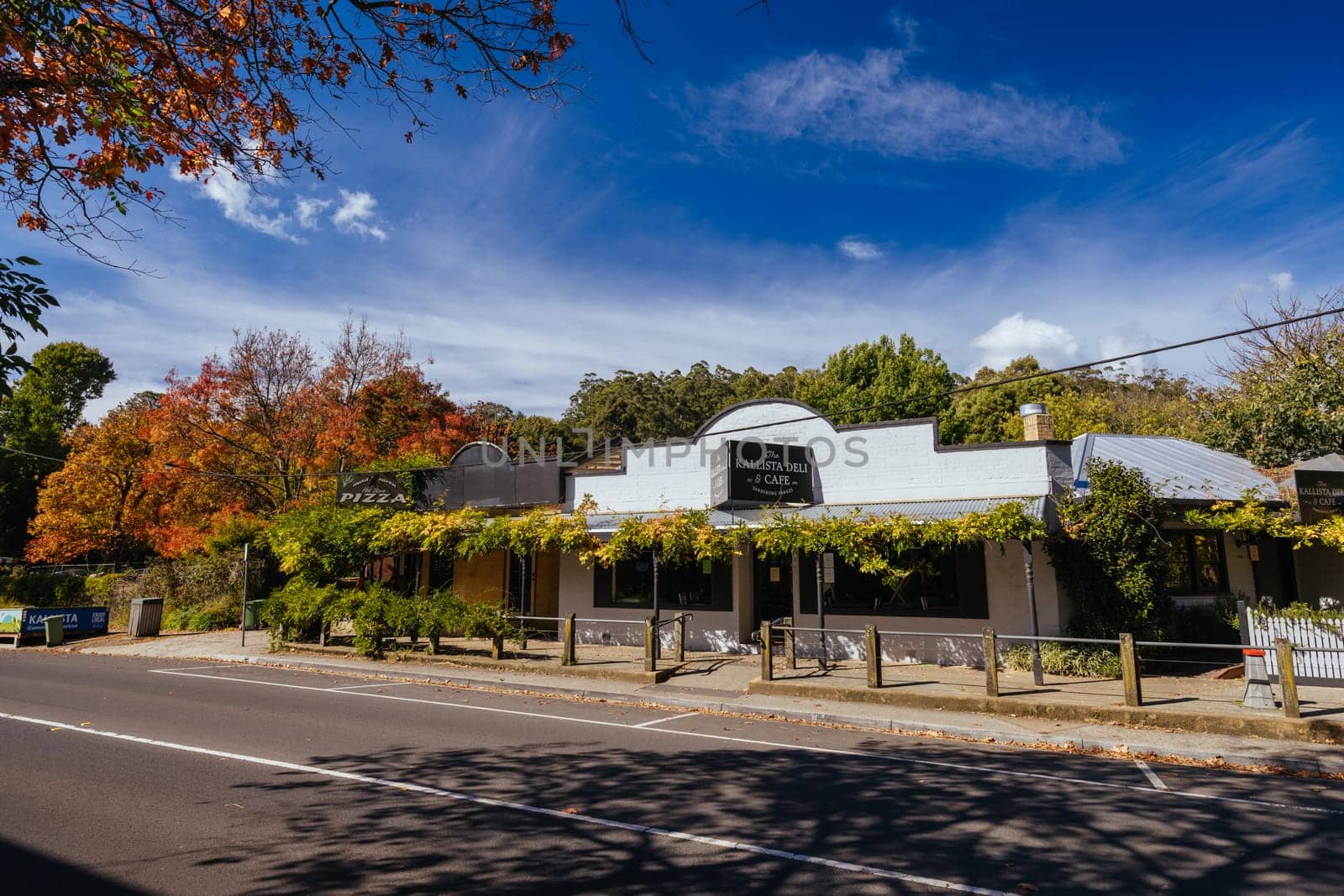 KALLISTA, AUSTRALIA - APRIL 25 2023: Kallista scenery on a warm sunny autumn day in the Dandenongs region in Melbourne, Victoria, Australia
