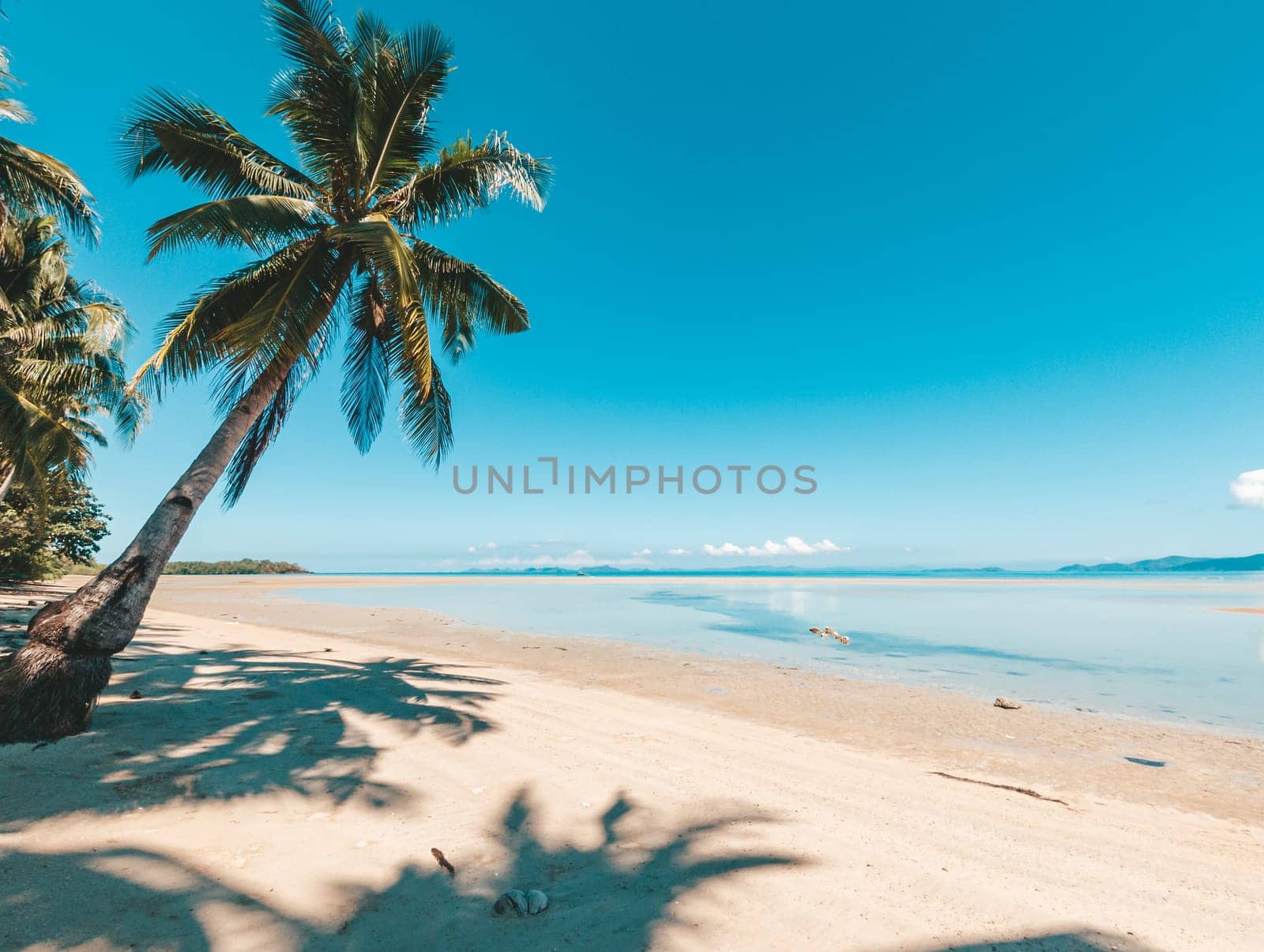 Tropical beach with coconut palm and turquoise water, Philippines travel destination