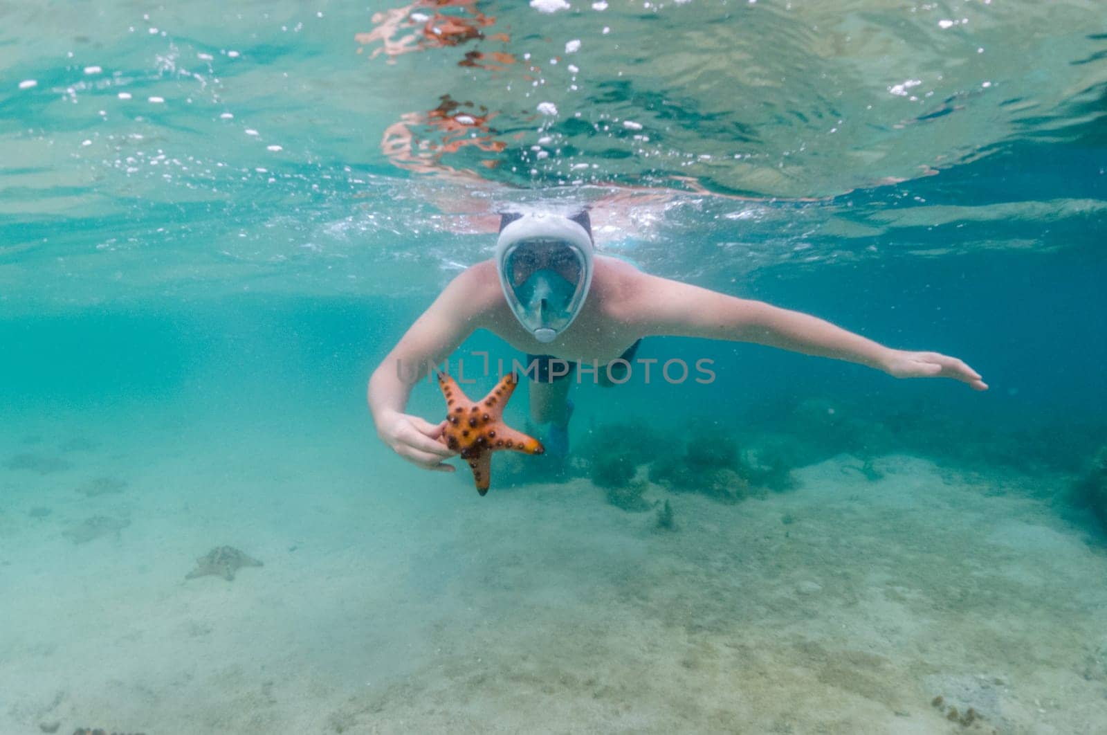 Snorkeler reaches for starfish in crystal clear tropical waters by Busker