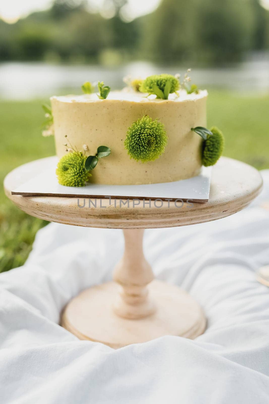 Enchanted Cake on Grassy Stand by Miron