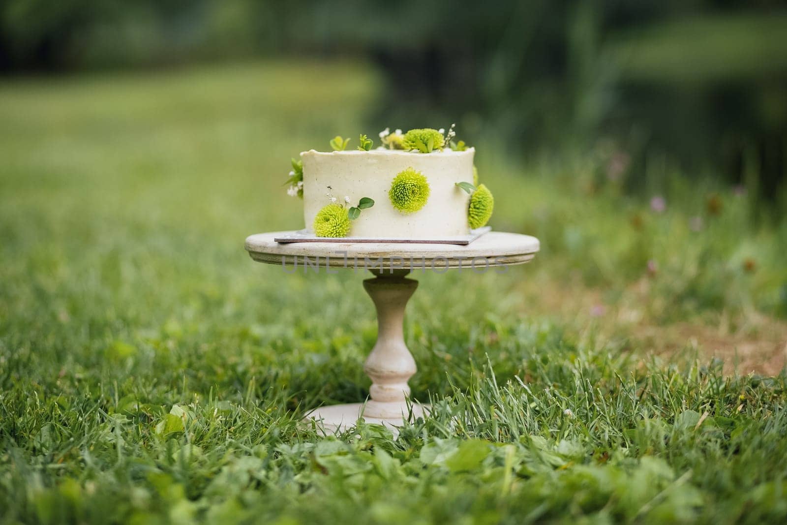 Elegant Cake Adorning Wooden Stand Amidst Lush Green Grass by Miron