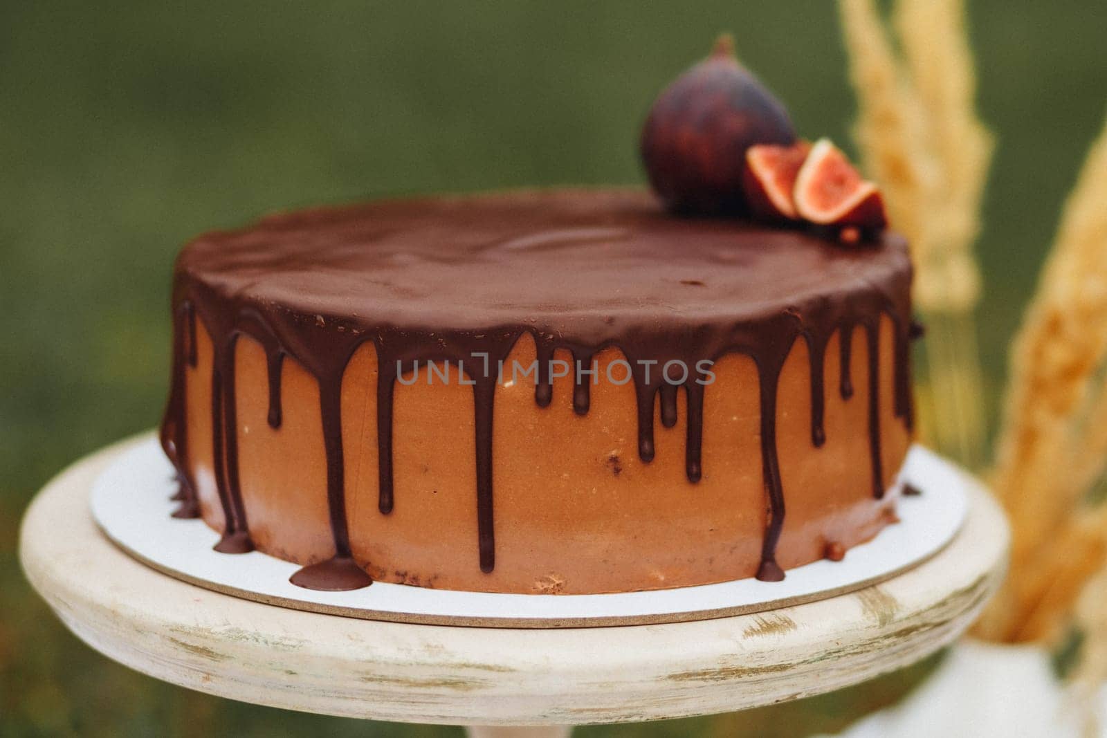 Decadent Chocolate Cake Adorned With Fresh Figs by Miron