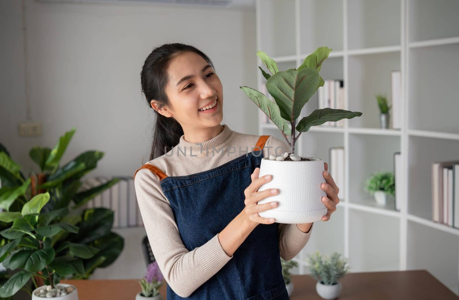 A young Asian woman is enjoying planting a garden in her home to create a shady atmosphere in her home. by wichayada