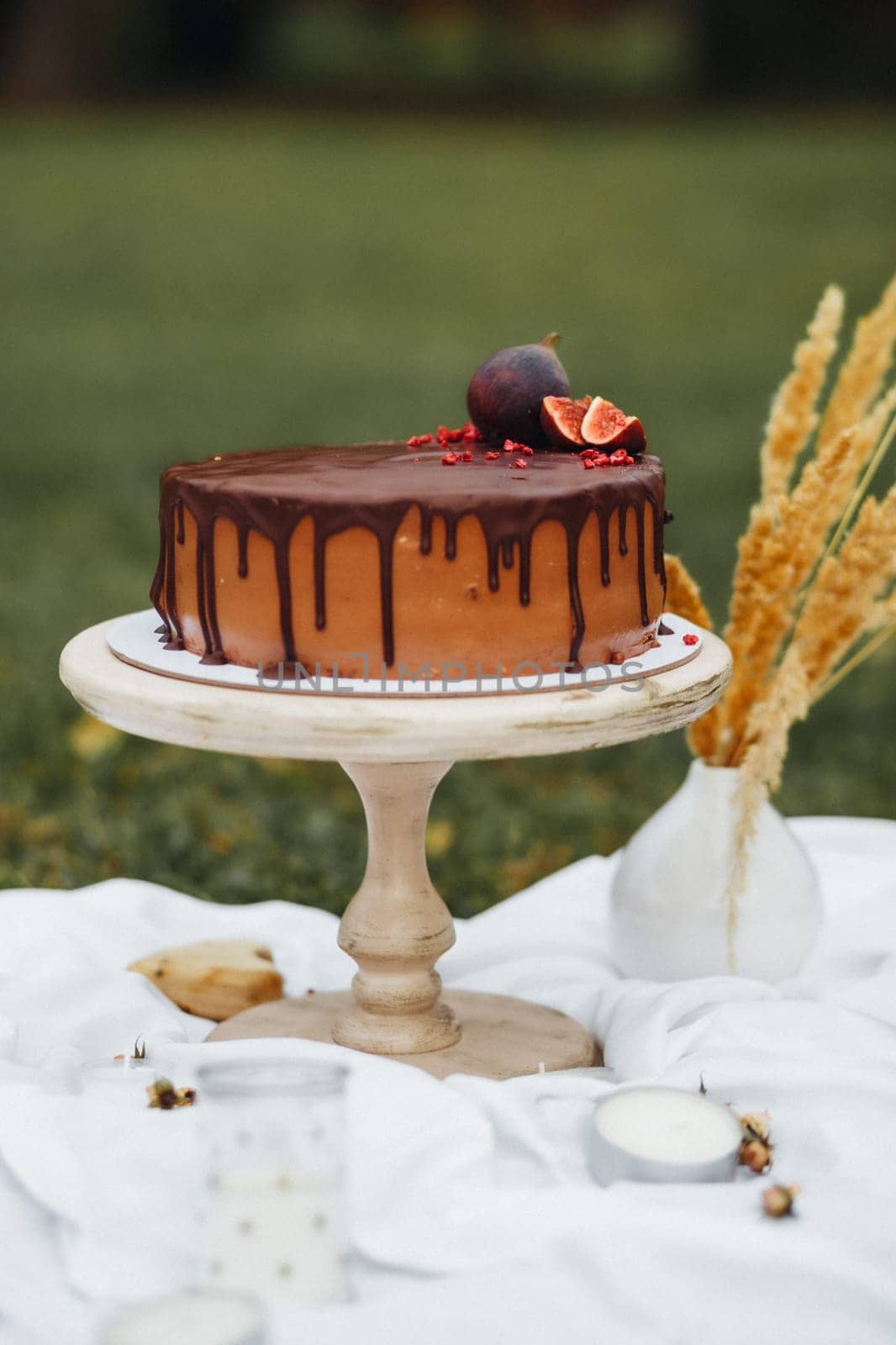 Chocolate Cake Serenity in Field by Miron