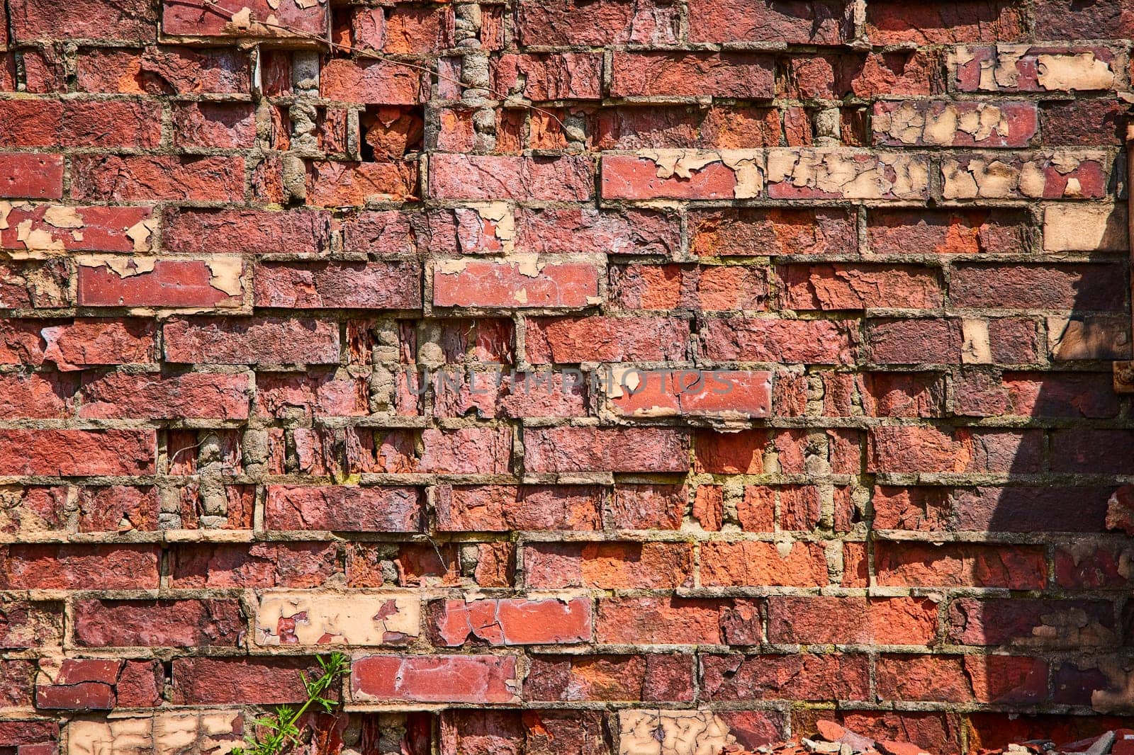 Aging brick wall in Warsaw, Indiana, displaying vibrant textures of decay and resilience. Ideal for themes of history and endurance.