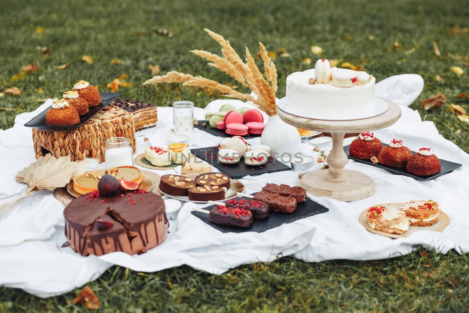 Sweet Indulgence: Array of Desserts on Picnic Blanket by Miron