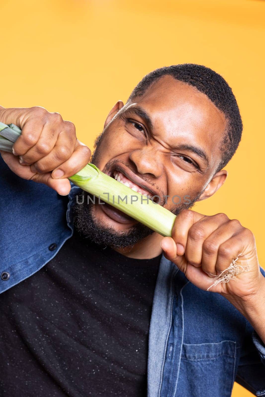African american joyful man pretending to bite on a leek in studio, fooling around against yellow background with a locally grown green onion. Carefree relaxed person promotes zero waste.