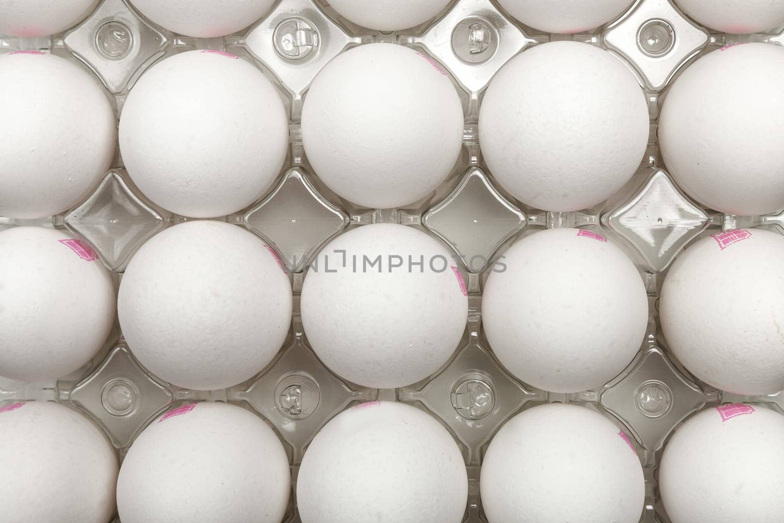 Raw white chicken eggs in tray on white background. Organic food from nature.