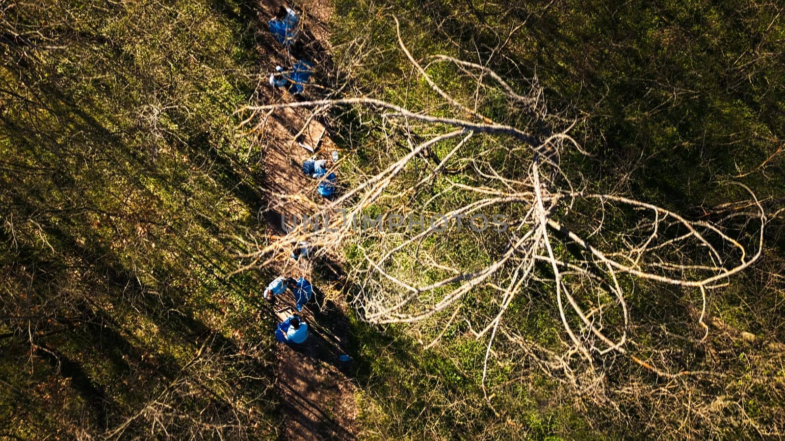 Aerial view of volunteers doing litter cleanup in a forest area, collecting rubbish and plastic waste, fighting illegal dumping. Activists cleaning to woods and recycling for nature conservation.