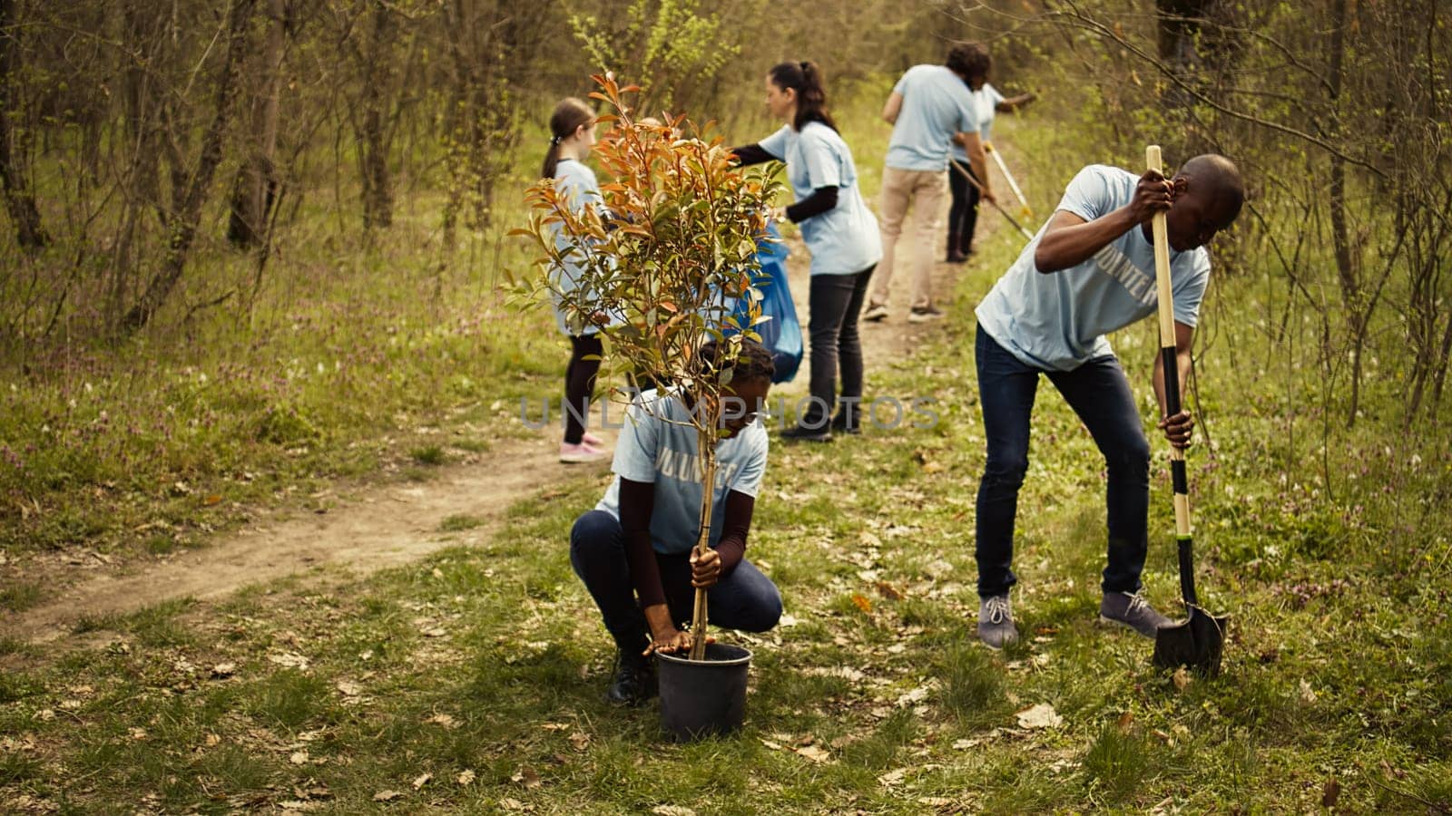 African american ecologic activists planting seedlings in a forest environment, working together in unity to preserve and protect the natural habitat. Growing trees project. Camera B.