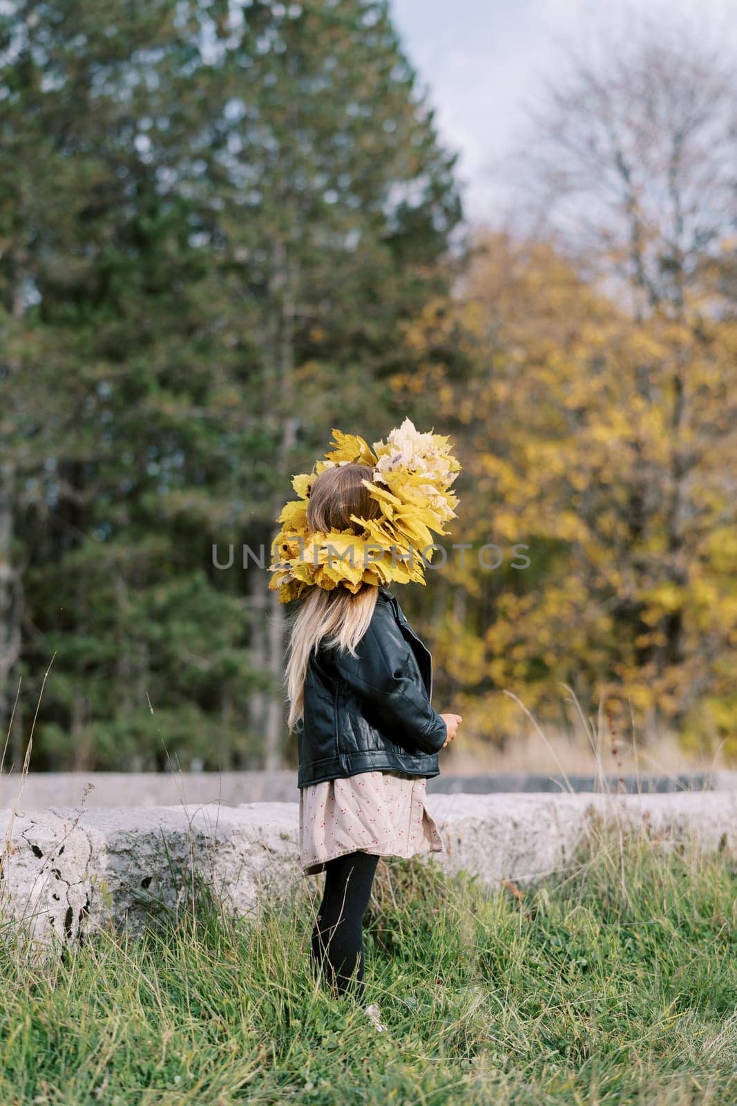 Little girl in a wreath of yellow leaves stands on the lawn in an autumn park and looks into the distance. Side view. High quality photo