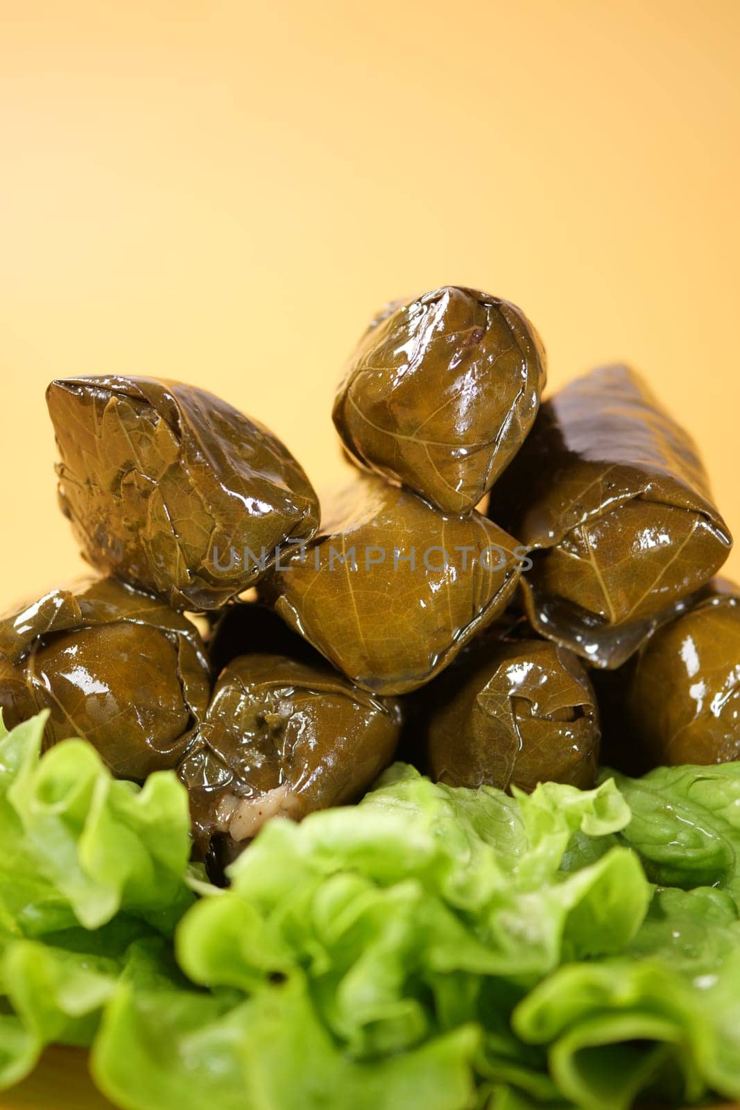 Traditional dolma grape leaves on a plate .