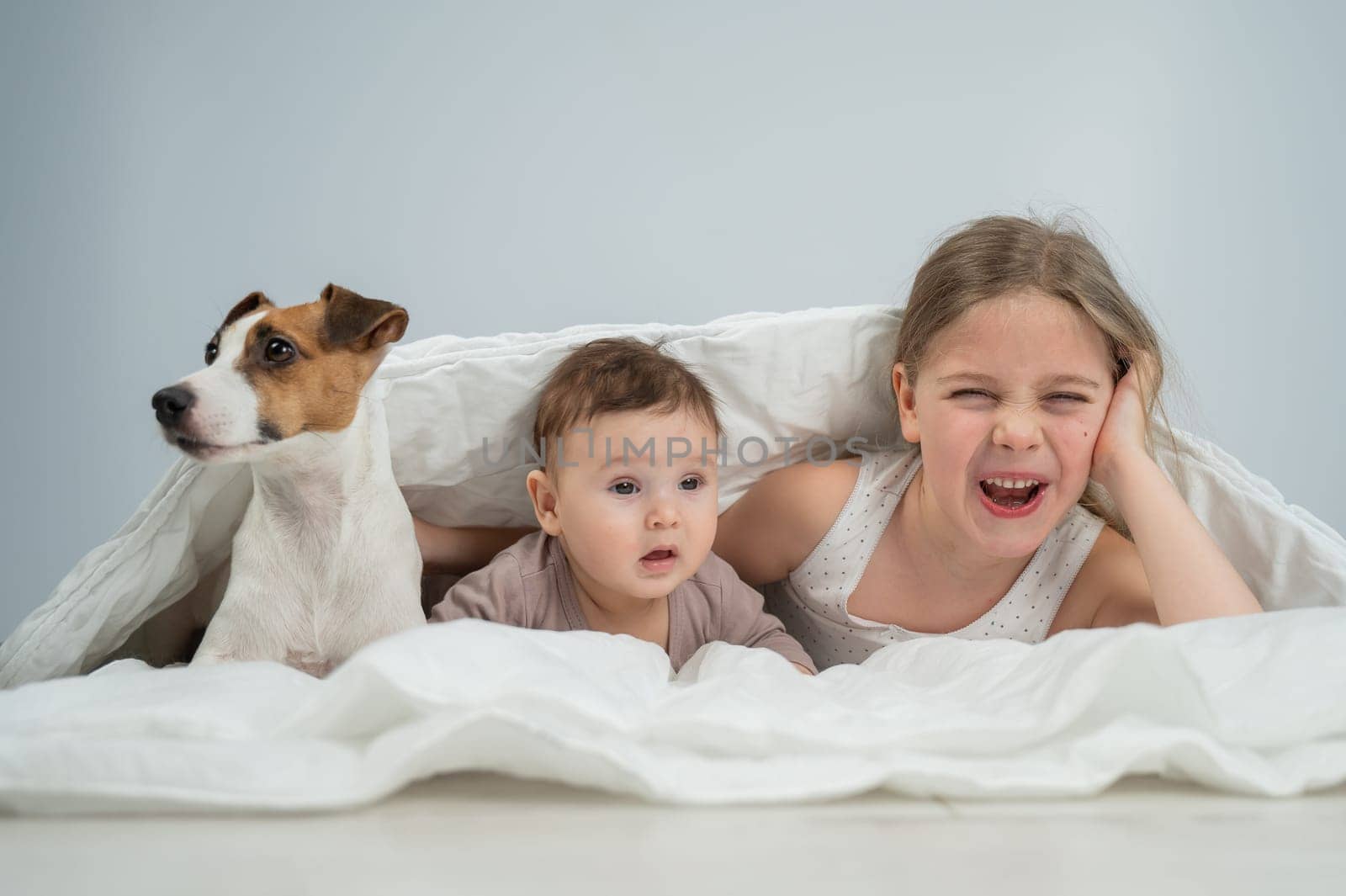 A little girl and her five-month-old brother and Jack Russell Terrier dog lie wrapped in a blanket