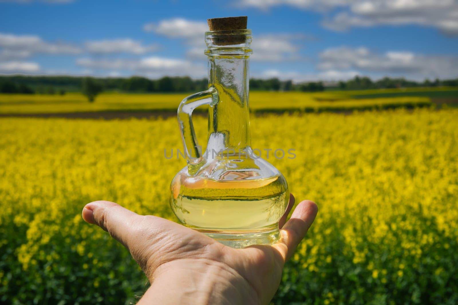 Hand holding a glass bottle filled with yellow rapeseed oil by NetPix