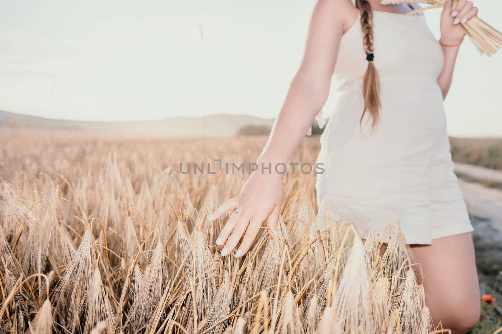 Woman wheat field. Agronomist, Woman farmer check golden ripe barley spikes in cultivated field. Closeup of female hand on plantation in agricultural crop management concept. by panophotograph