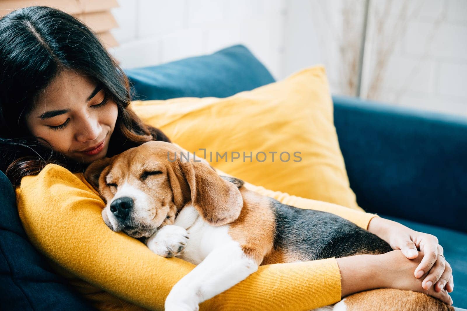 A heartwarming scene of togetherness, a young Asian woman and her Beagle dog nap on the sofa in the living room, epitomizing the concept of trust, happiness, and love at home. Pet love by Sorapop