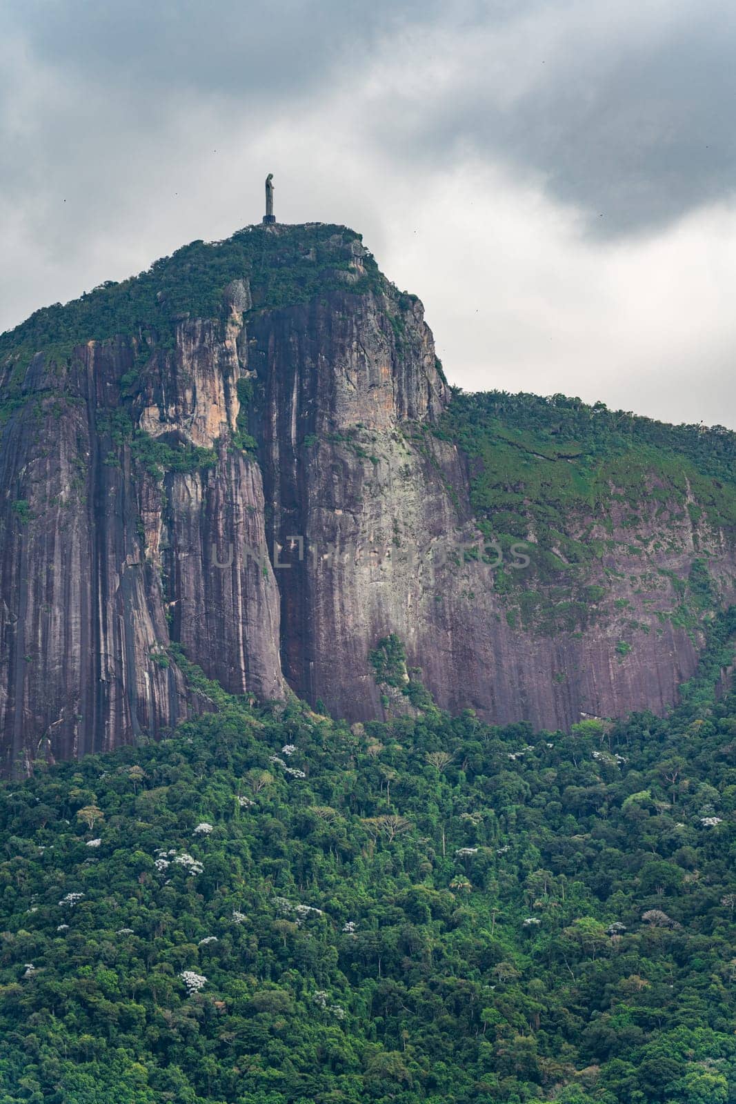Majestic Christ the Redeemer Above Rio s Deep Jungle by FerradalFCG
