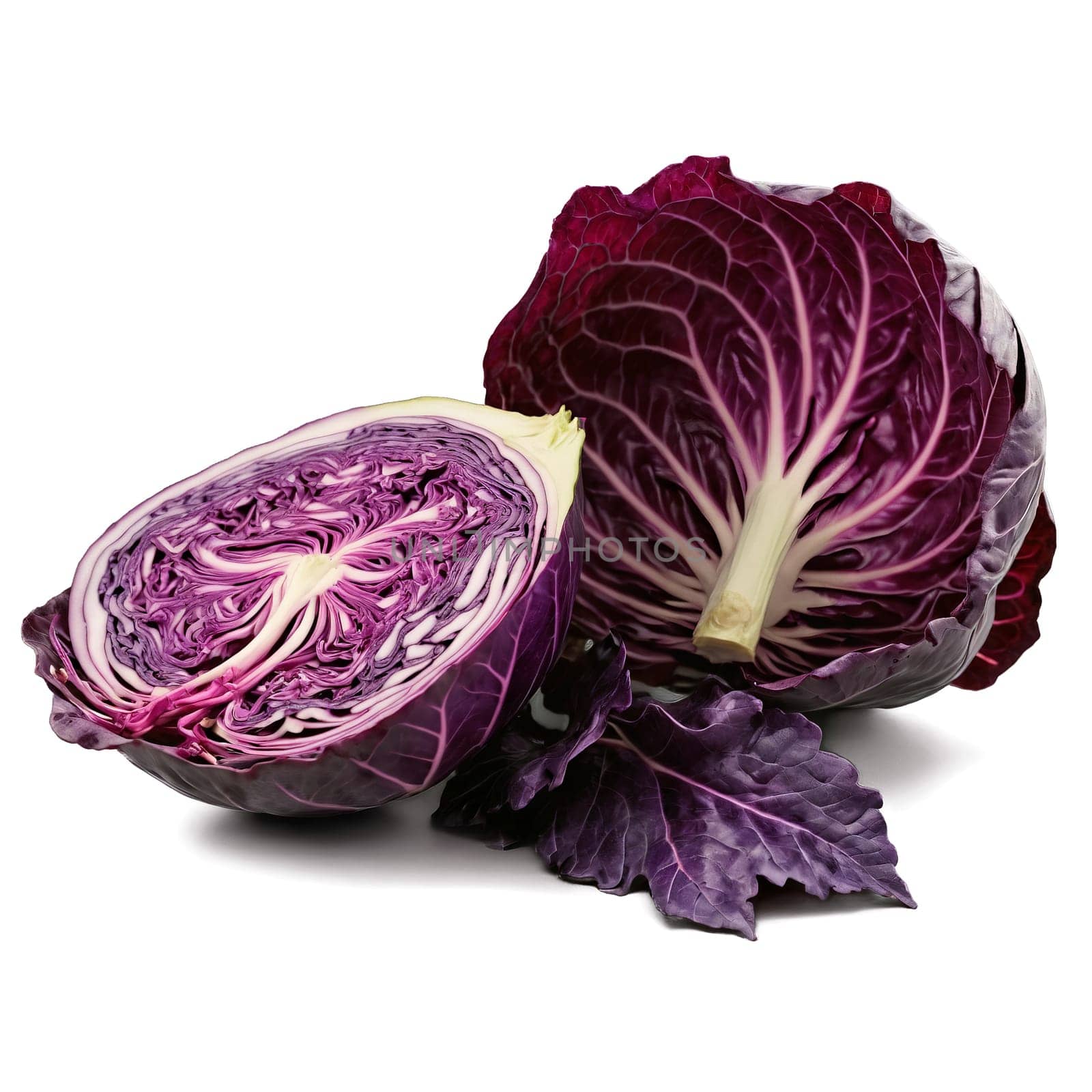 Tangy red cabbage shredding purple leaves fluttering core spinning Brassica oleracea var capitata f rubra by panophotograph