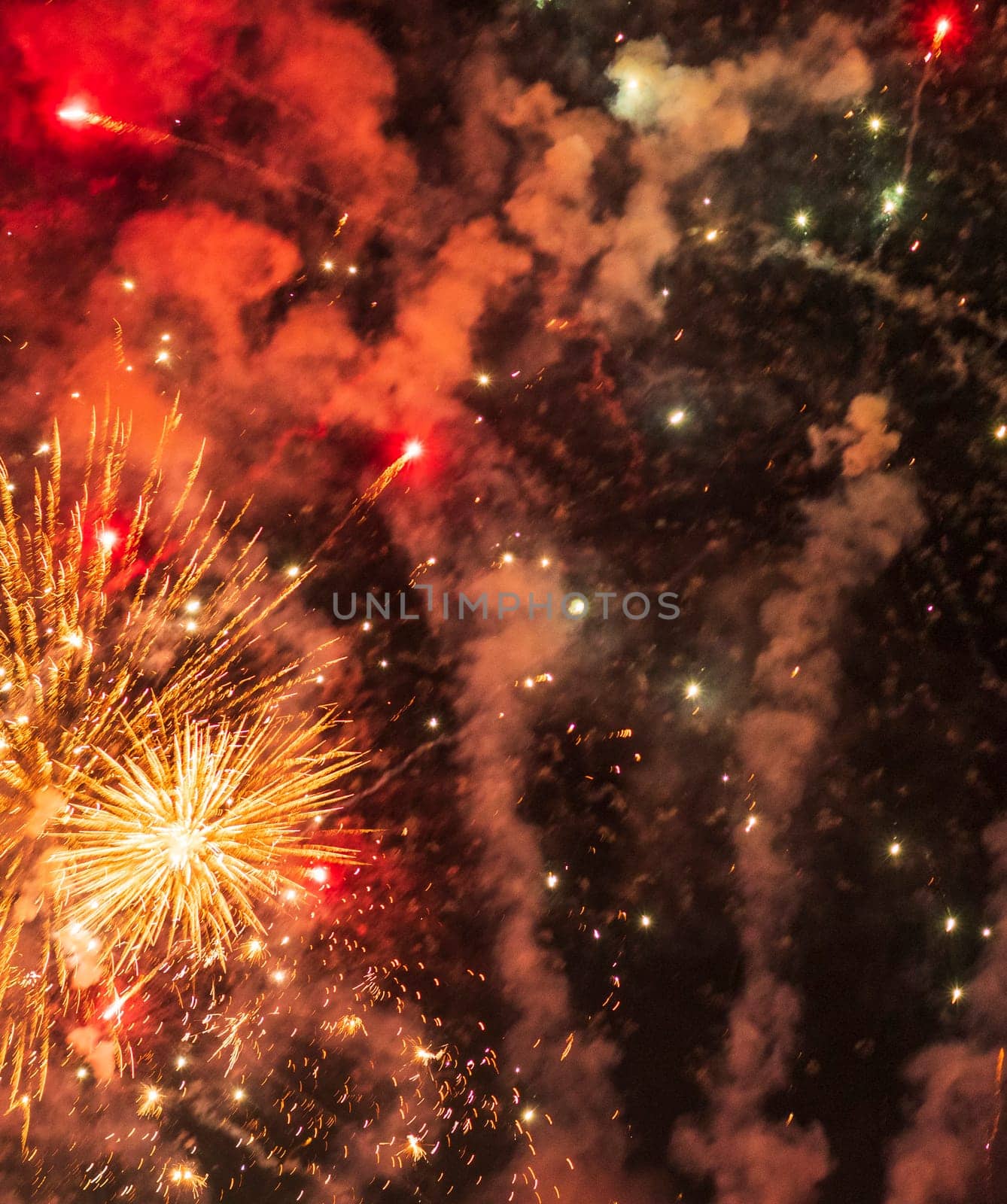 Shot of the fireworks in the night sky