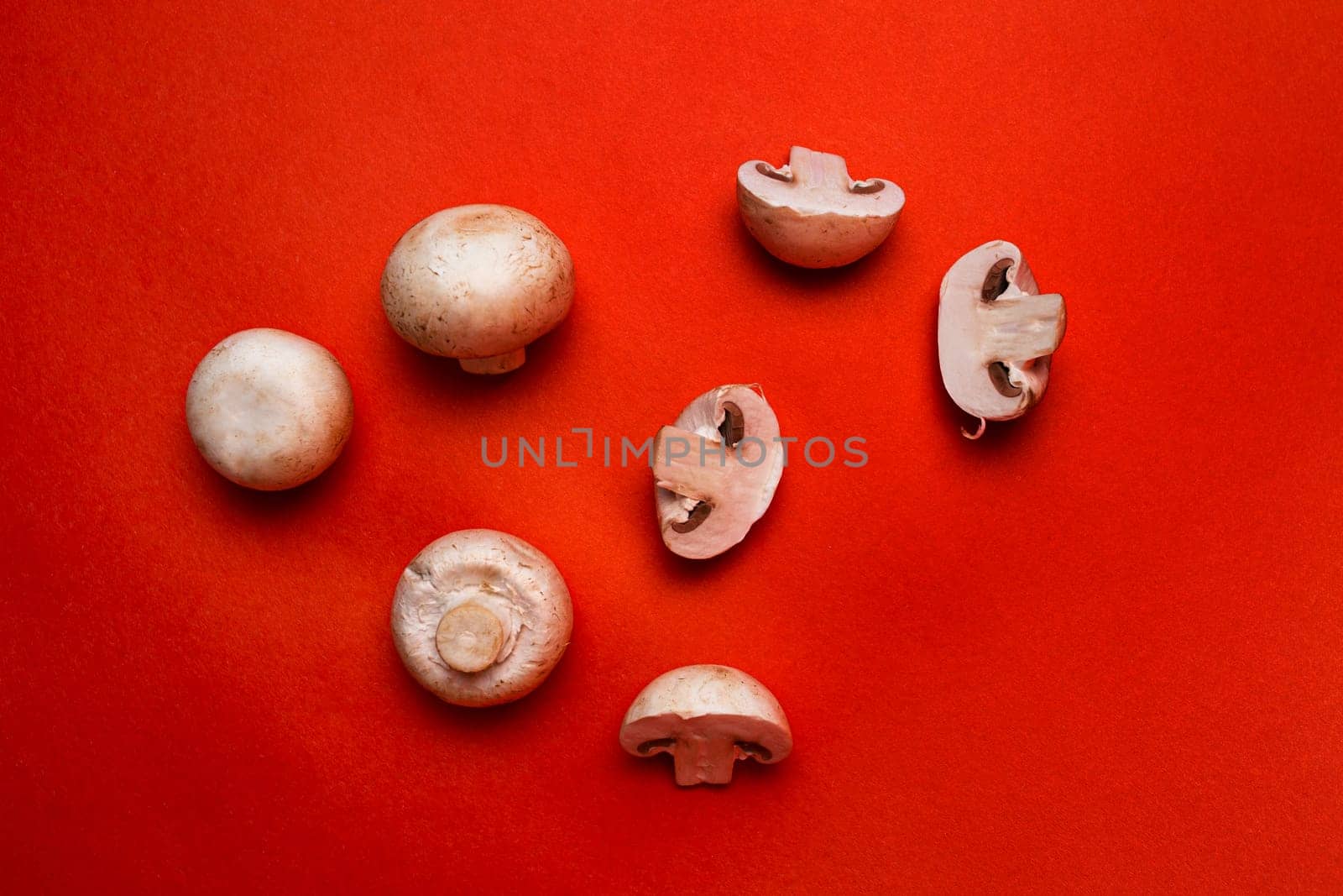 white mushrooms on a red background top view.