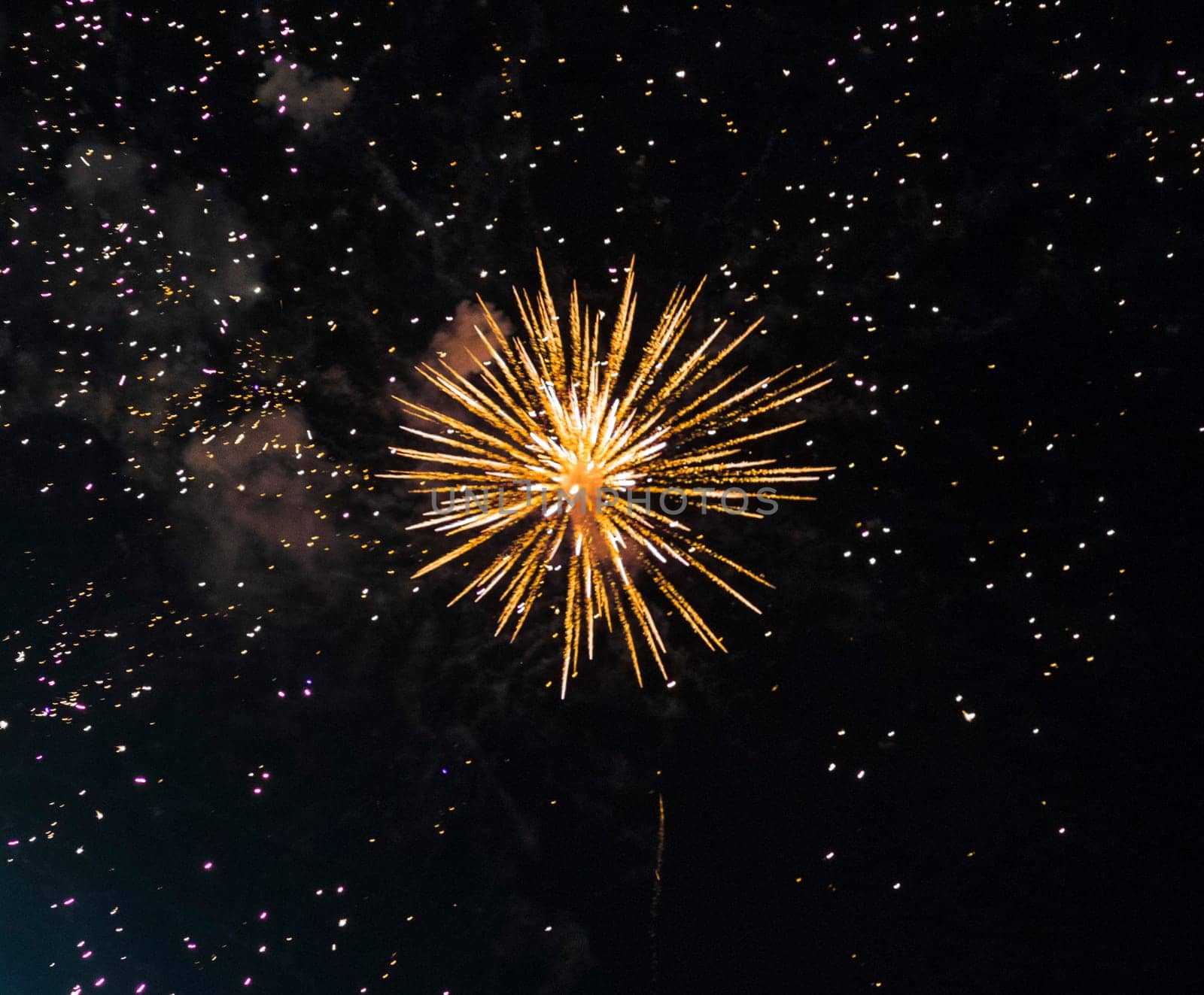 Shot of the fireworks in the night sky