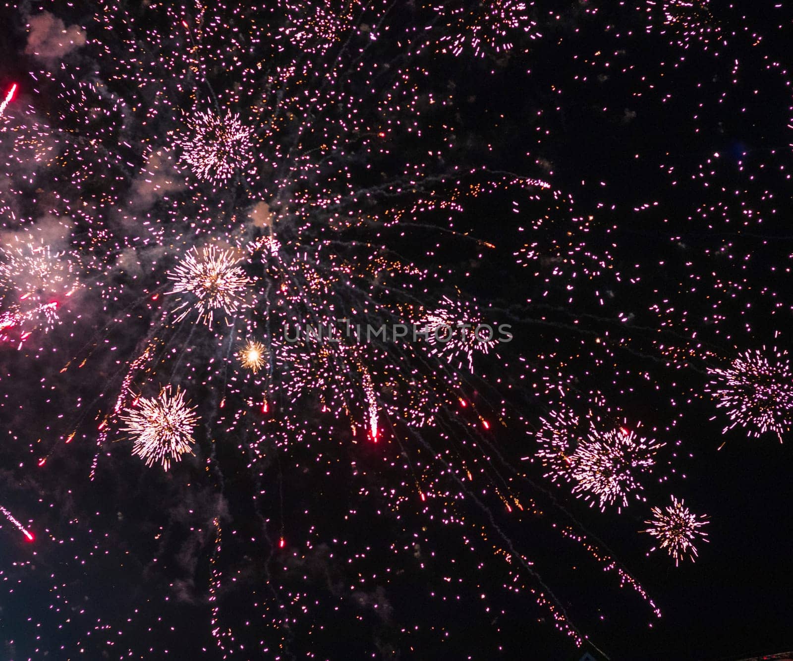 Shot of the fireworks in the night sky