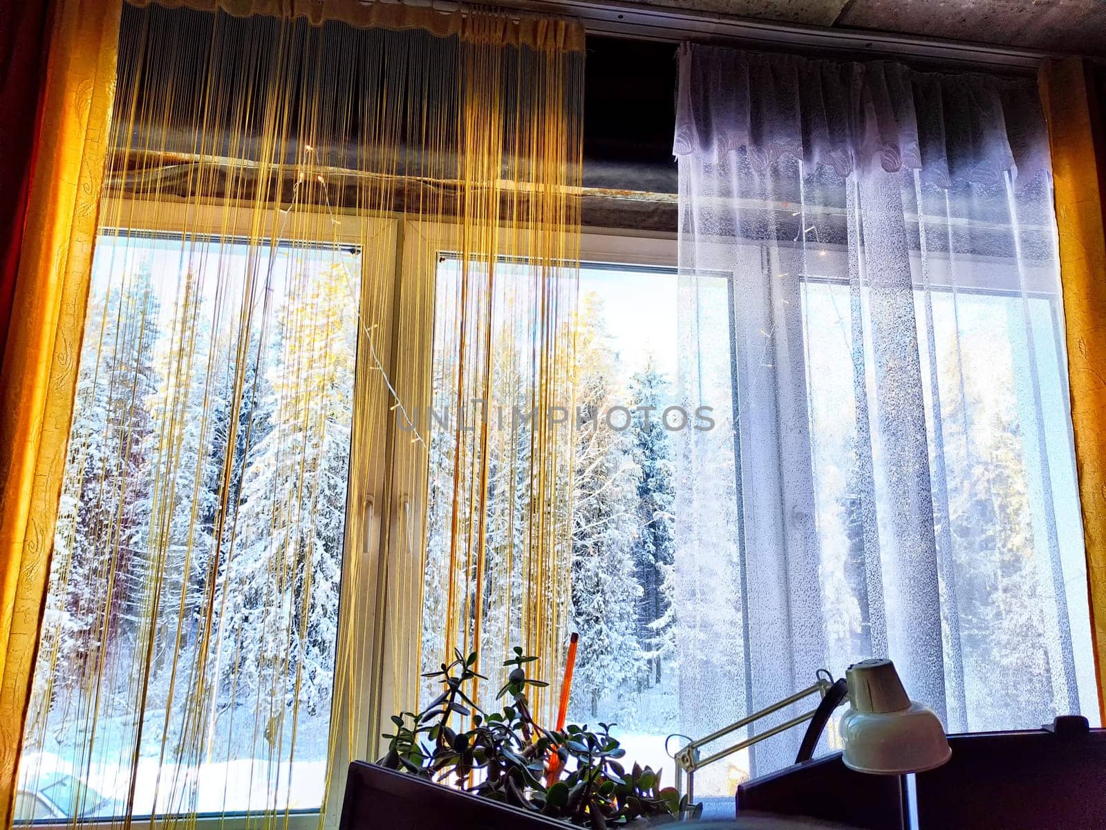 A tranquil view of snow-clad trees and car outside a window with sheer curtains. Winter Wonderland View From a Cozy Room