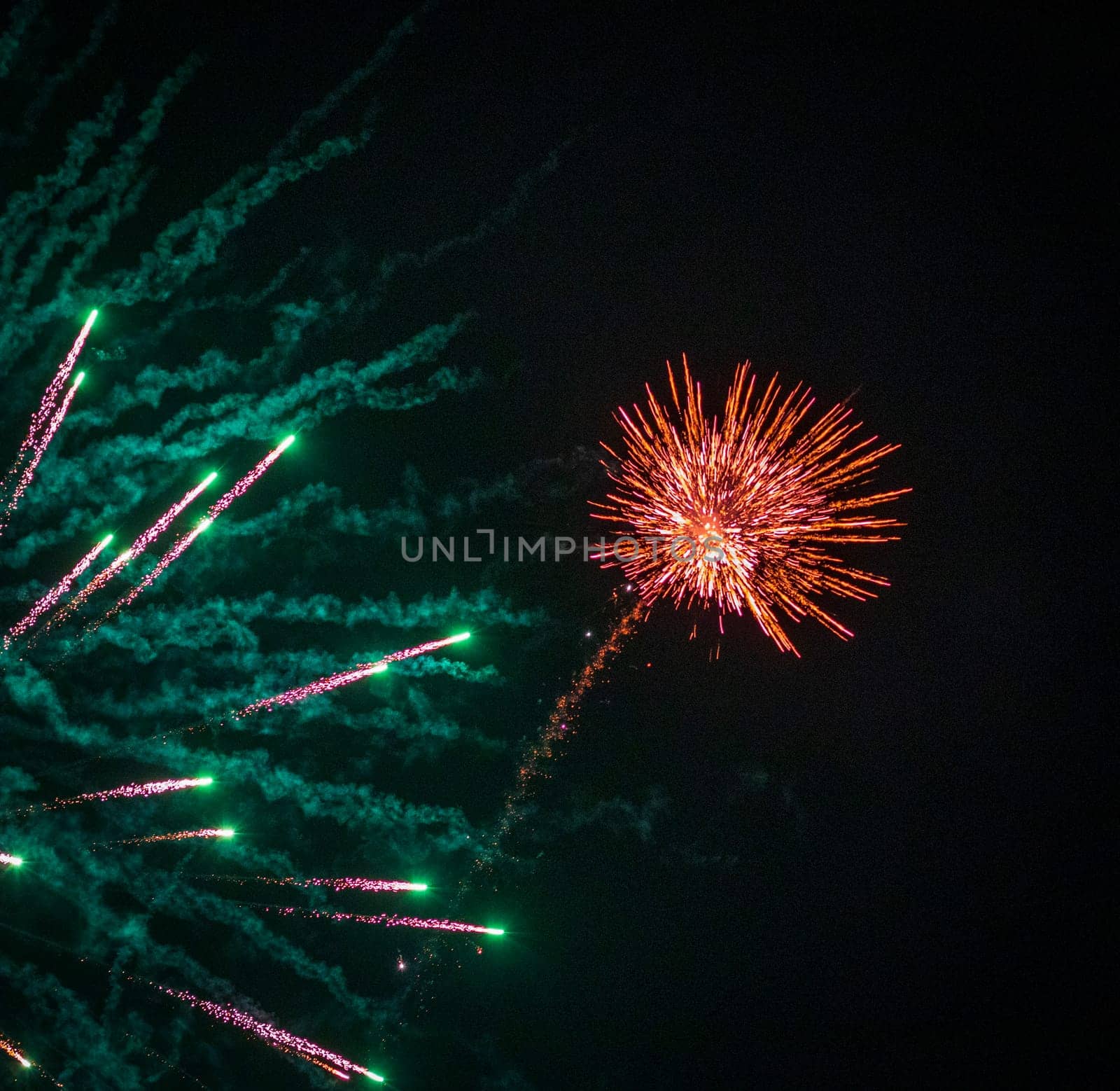 Shot of the fireworks in the night sky