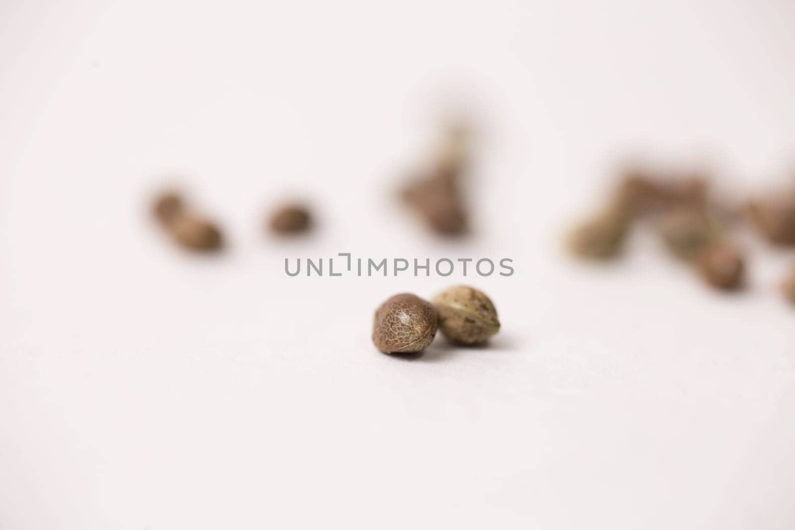 cannabis seeds are scattered on a white background by Pukhovskiy