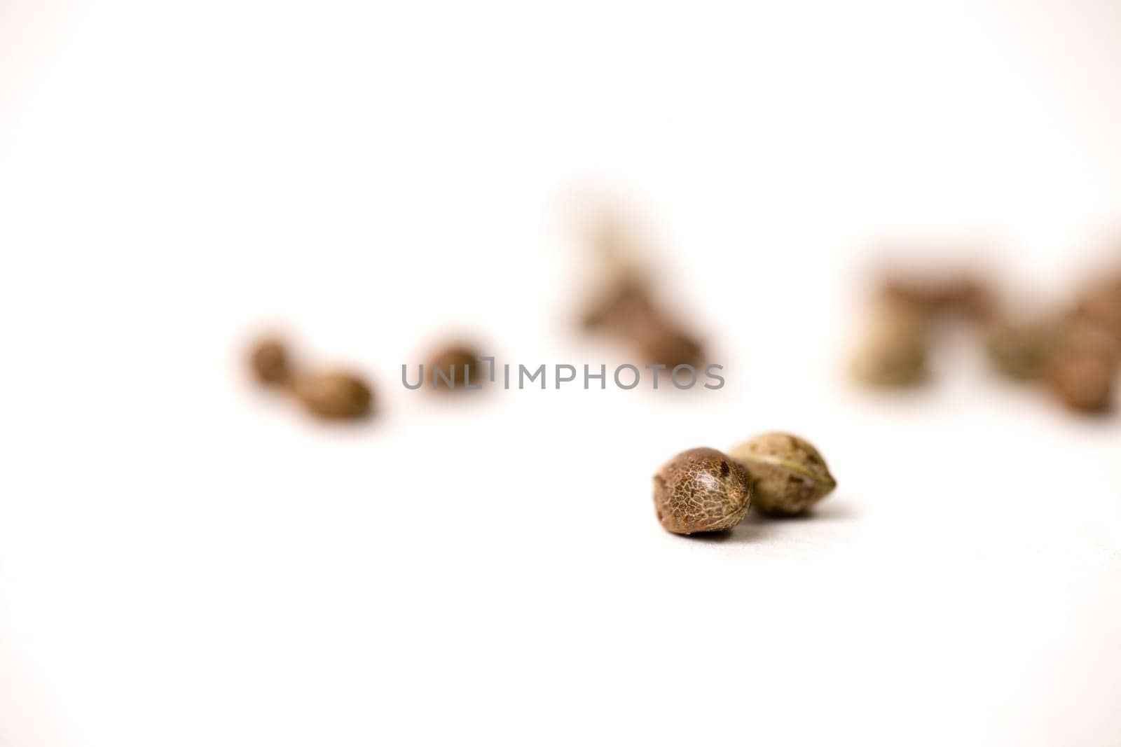 cannabis seeds are scattered on a white background by Pukhovskiy