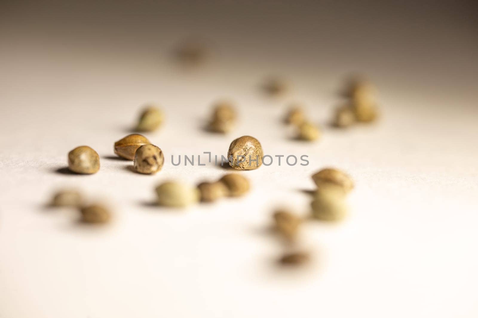 cannabis seeds are scattered on a white background by Pukhovskiy