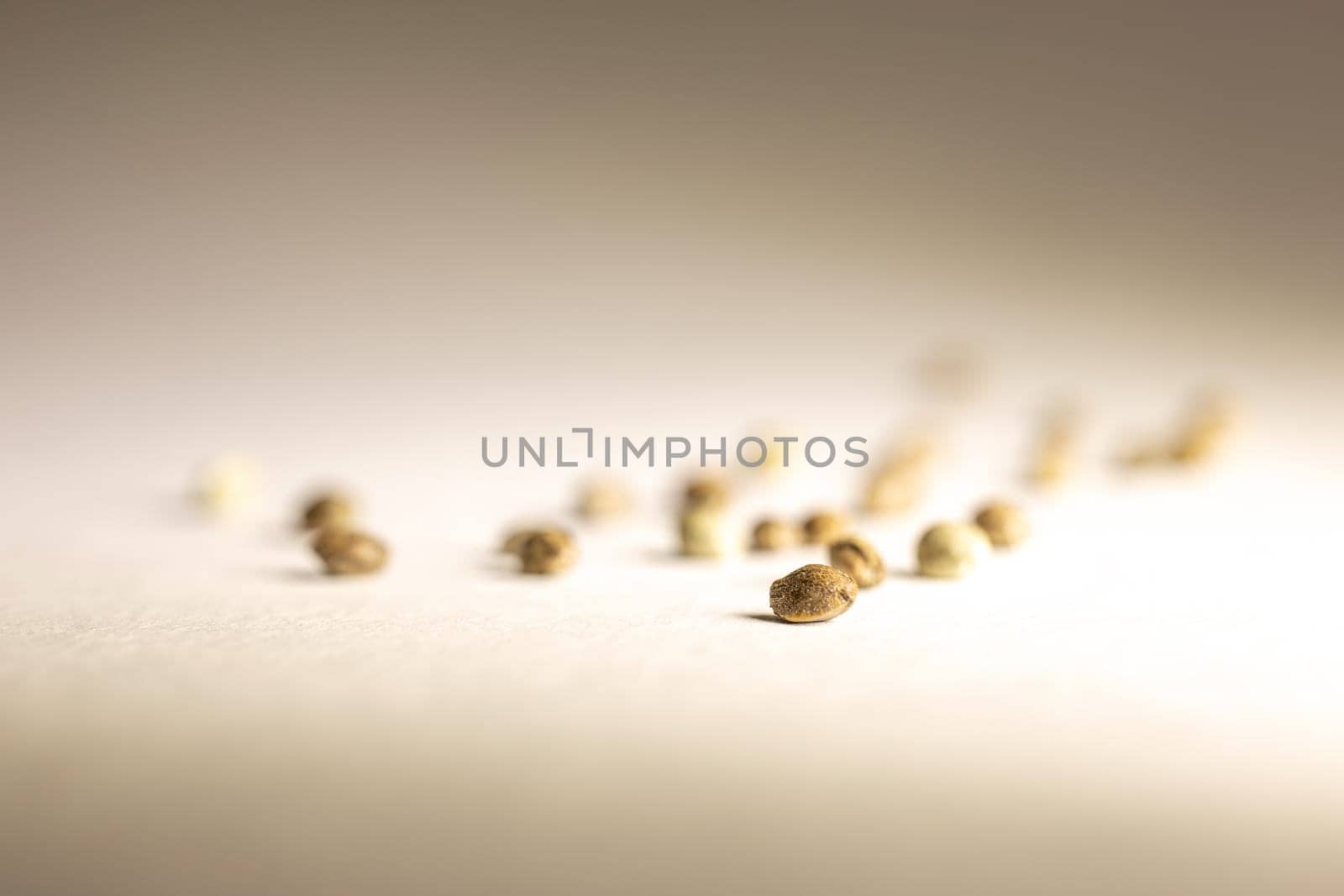 cannabis seeds are scattered on a white background.