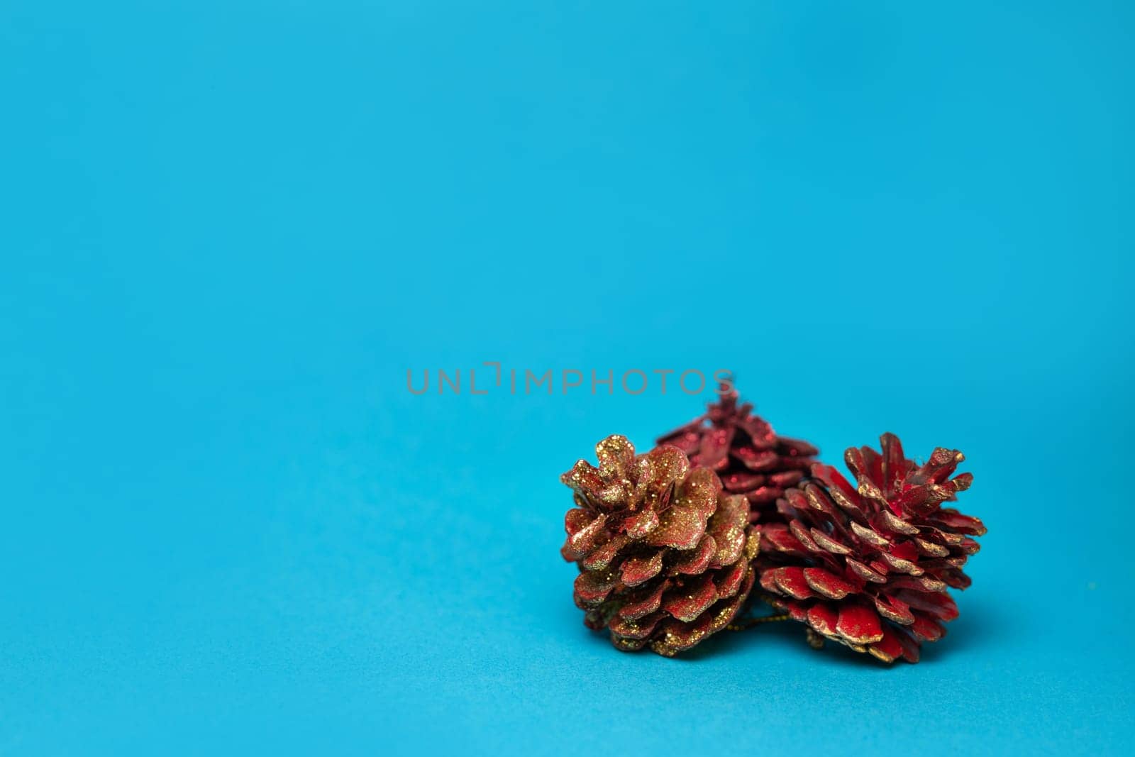 cones of a Christmas tree on a blue background close-up by Pukhovskiy