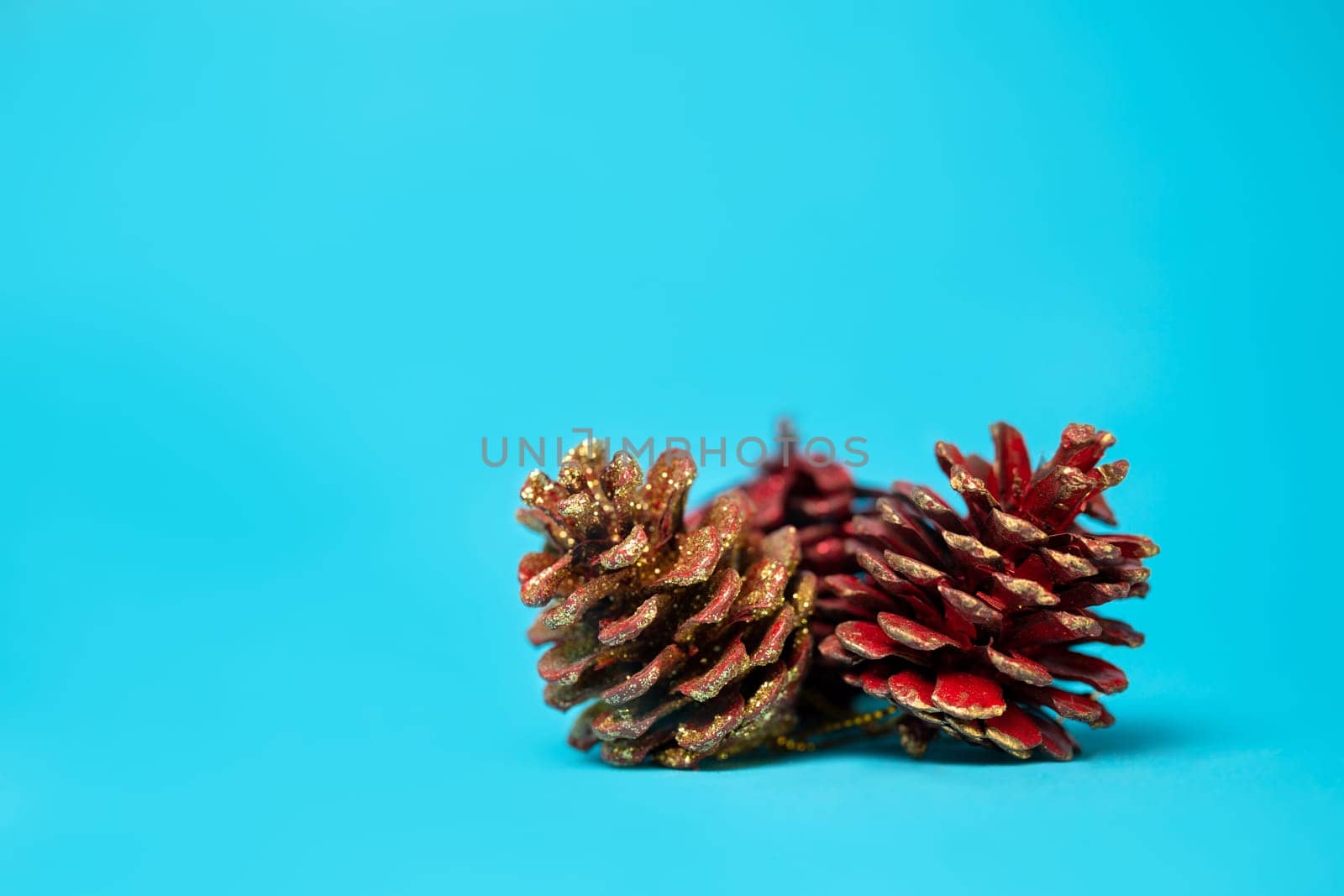 christmas pine cones on a blue background.