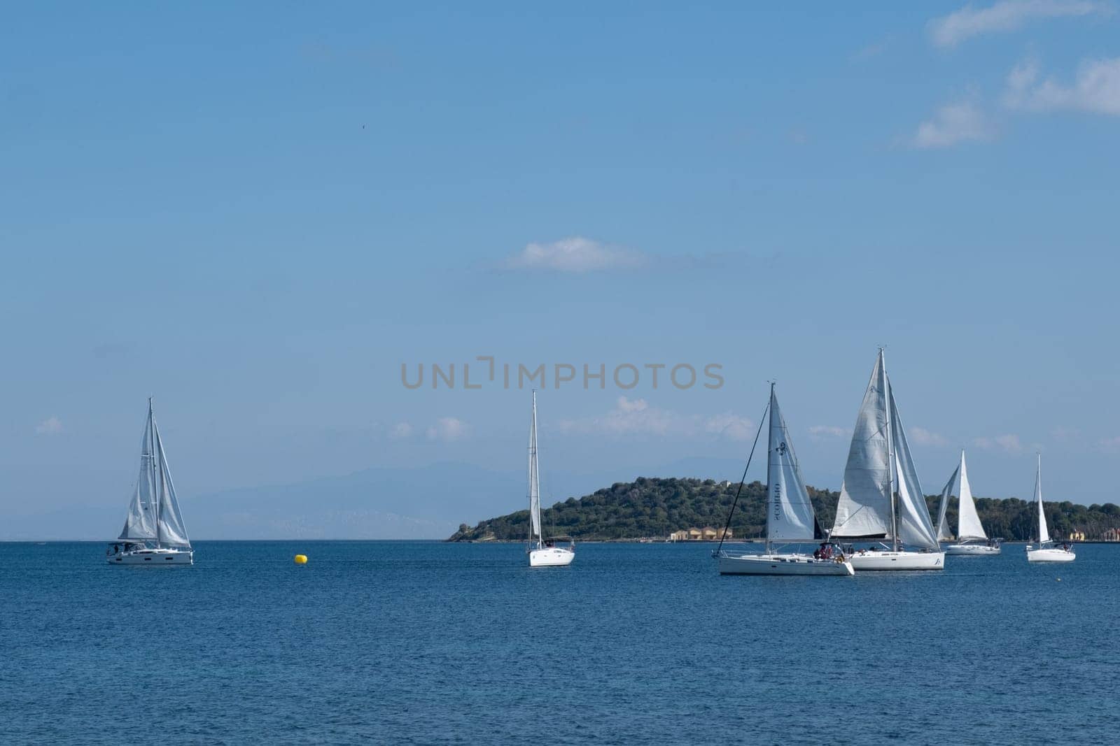A fleet of sailboats peacefully gliding across the vast expanse of water, under the clear blue sky dotted with fluffy clouds, showcasing the beauty of outdoor recreation on the lake